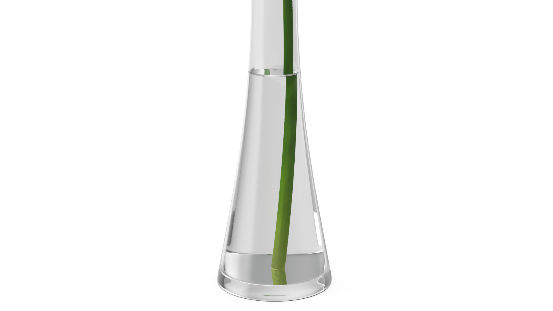 Lycoris Radiata in Glass Vase 3D model