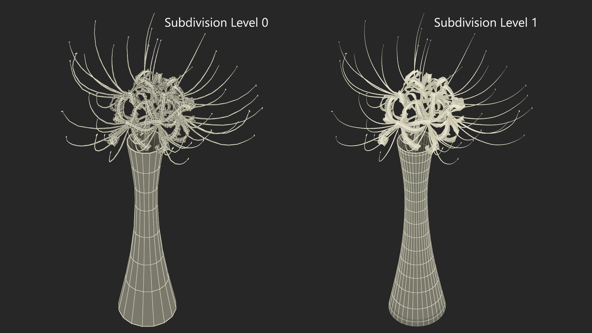 Lycoris Radiata in Glass Vase 3D model