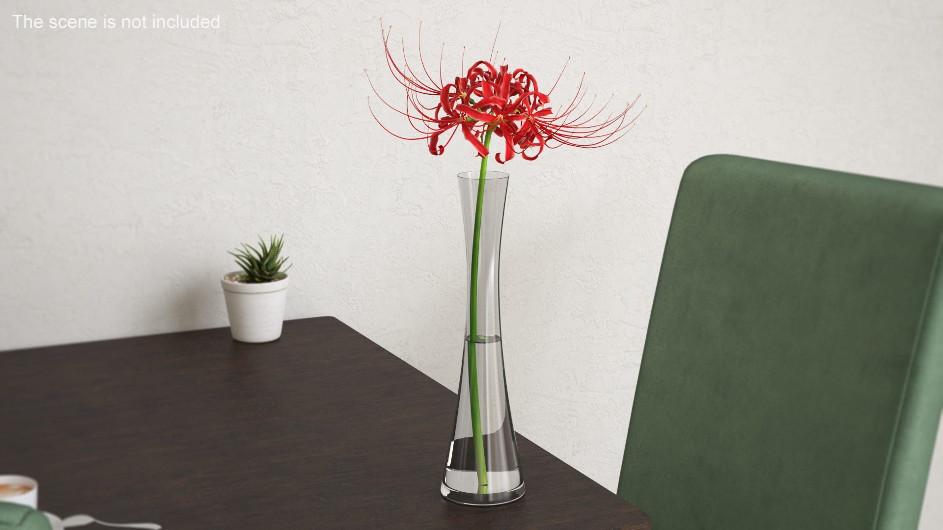 Lycoris Radiata in Glass Vase 3D model