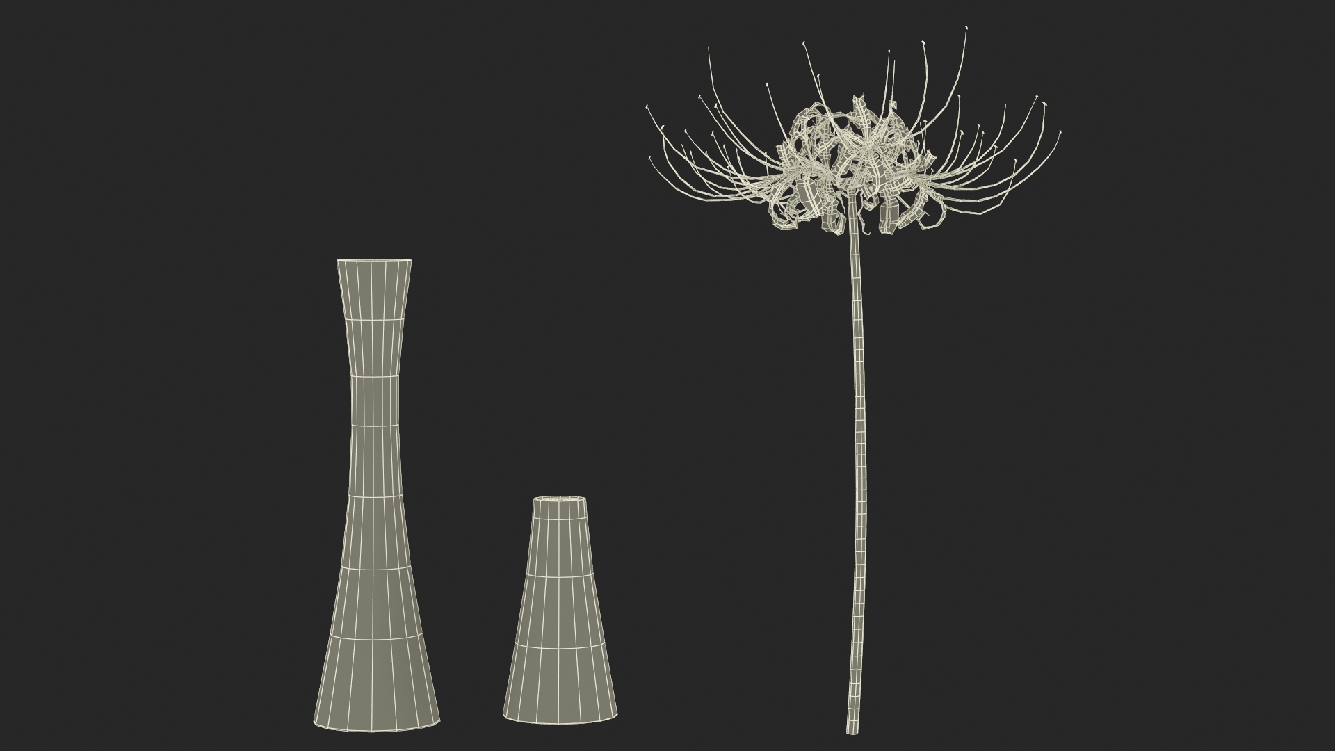 Lycoris Radiata in Glass Vase 3D model