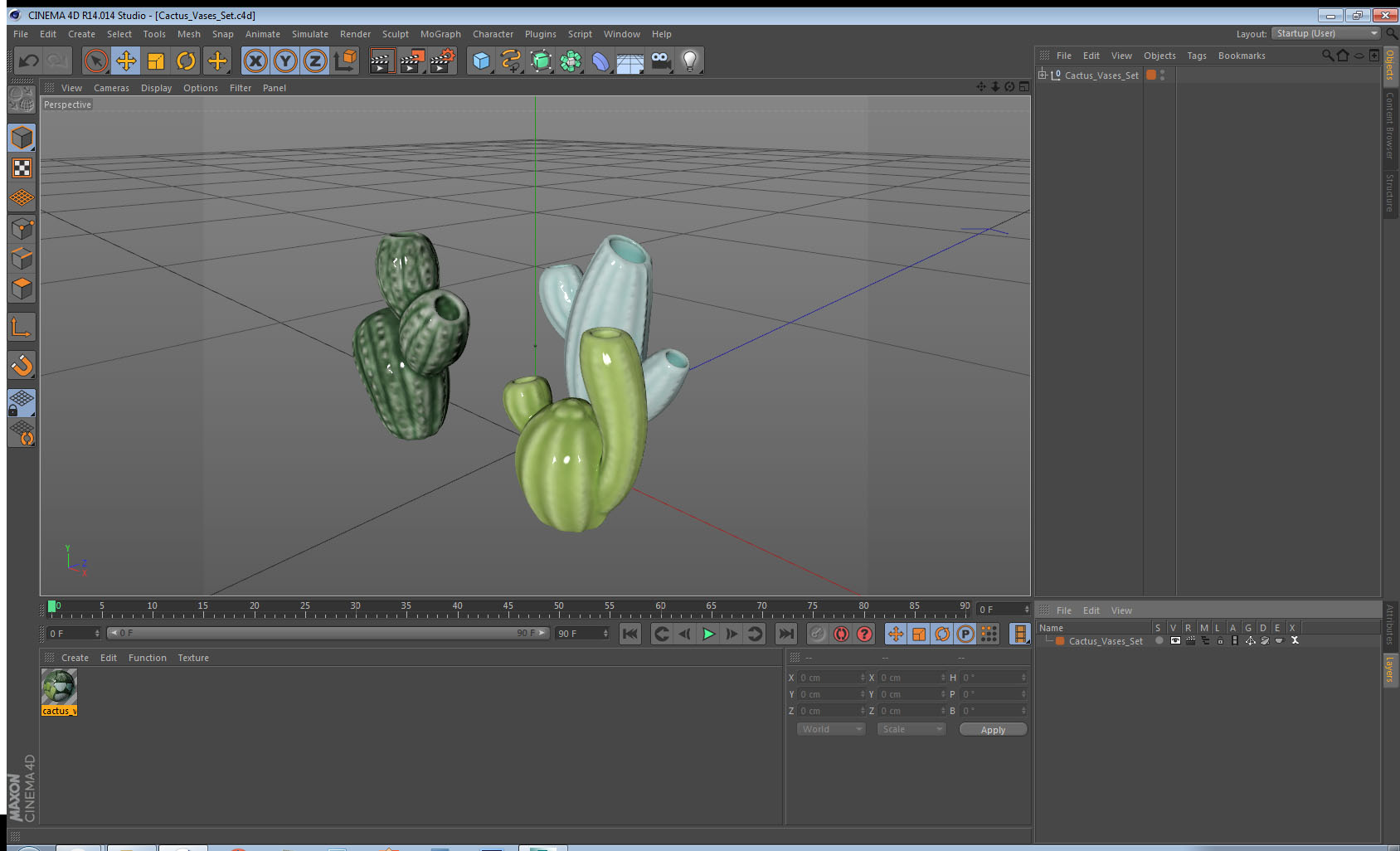 3D Cactus Vases Set