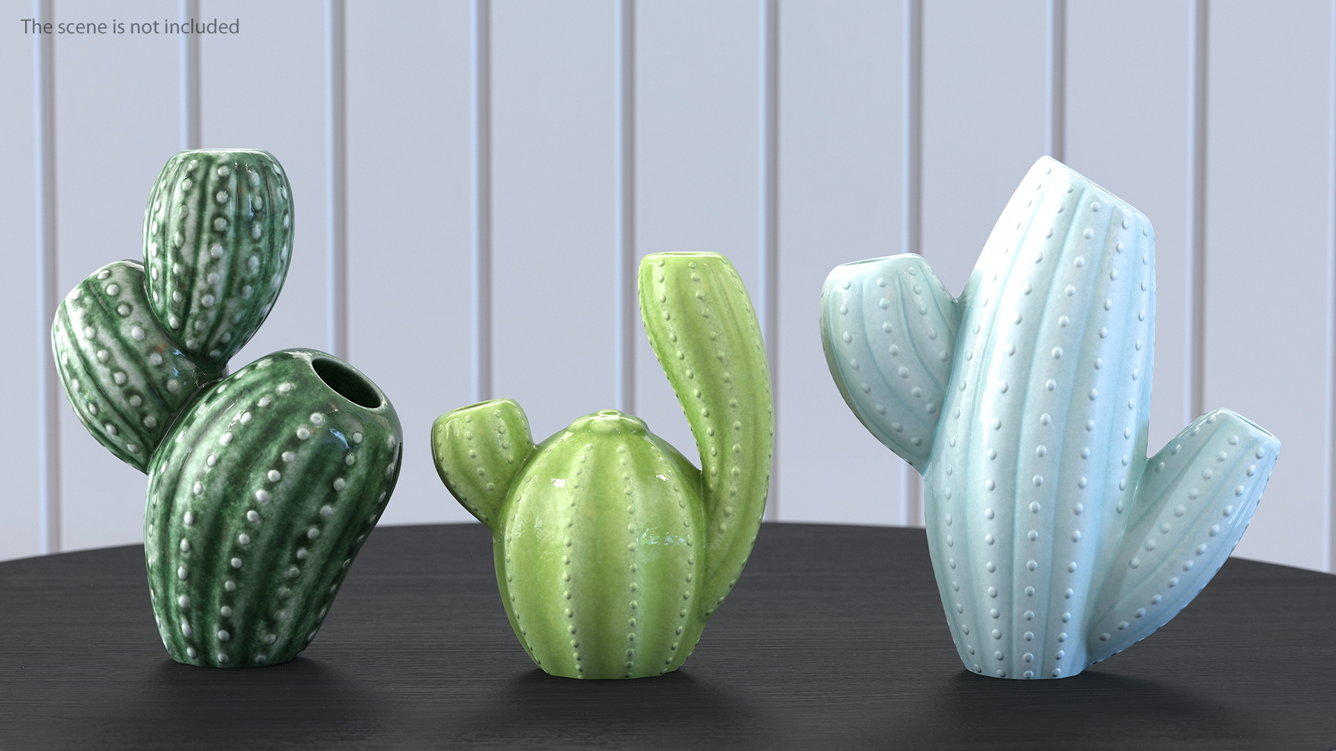 3D Cactus Vases Set