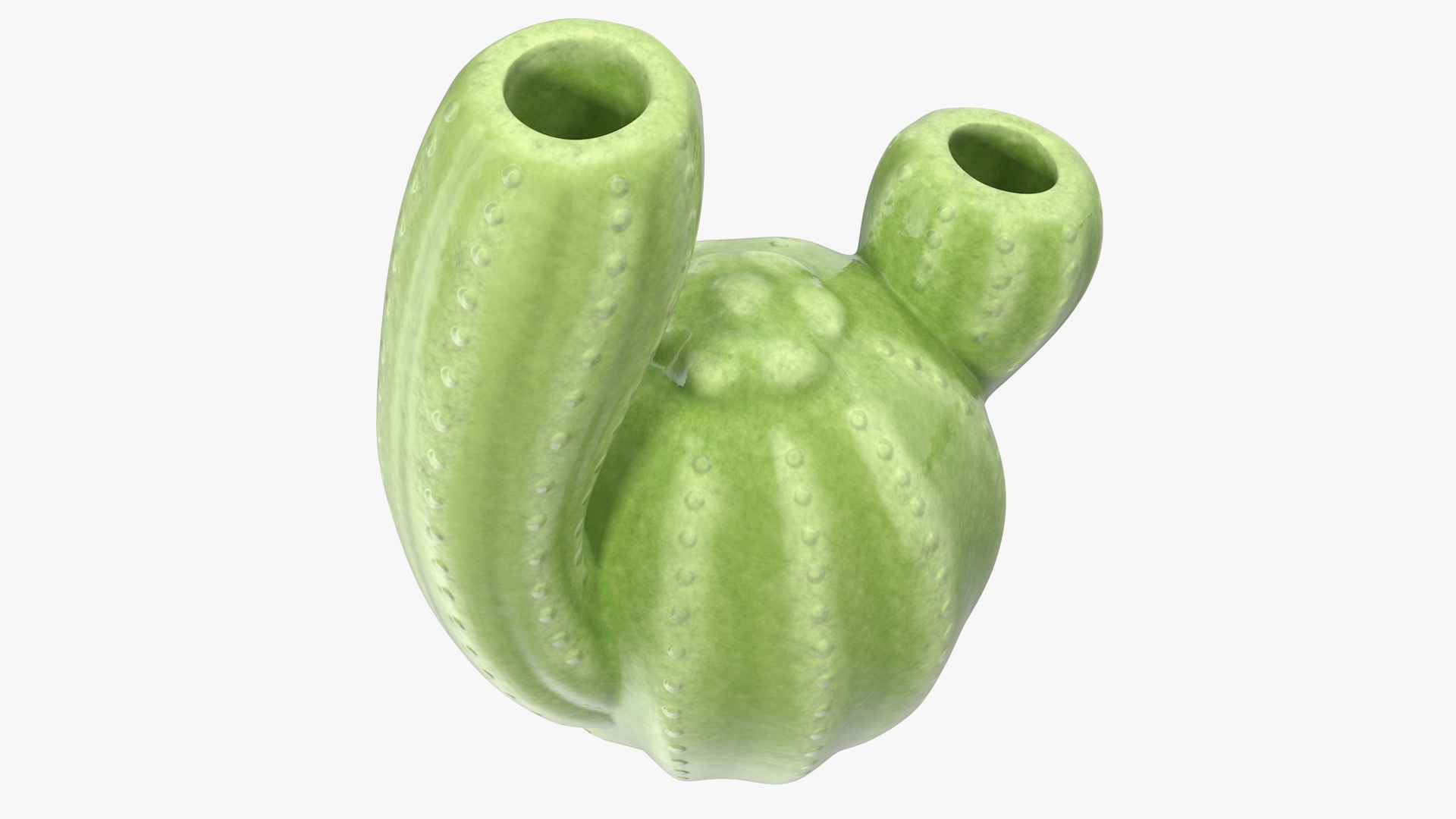 3D Cactus Vases Set