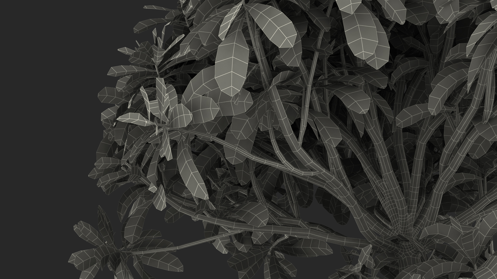 3D Green Bonsai Tree in Pot Fur model