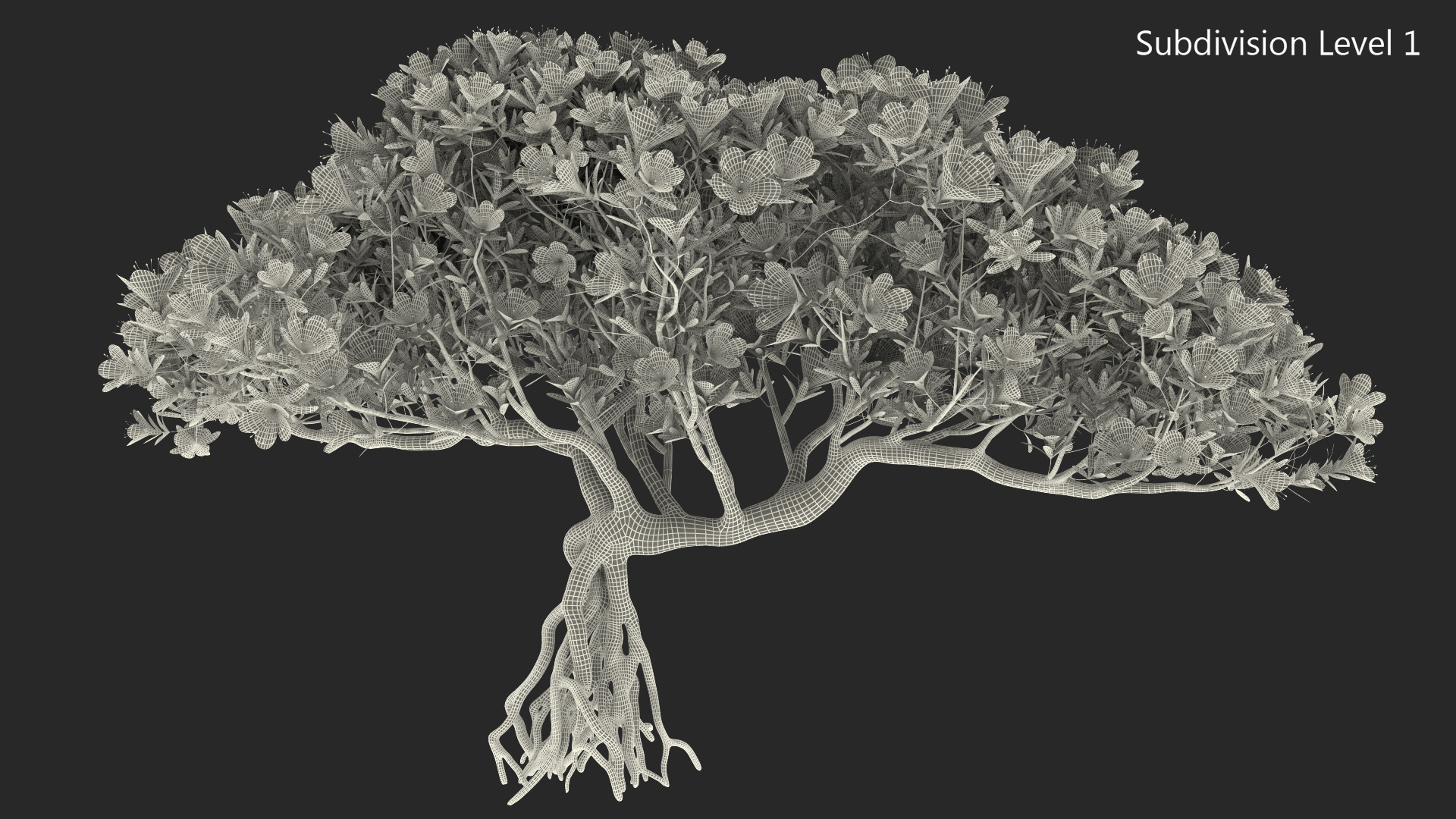 Miniature Bonsai Tree with Flowers 3D model
