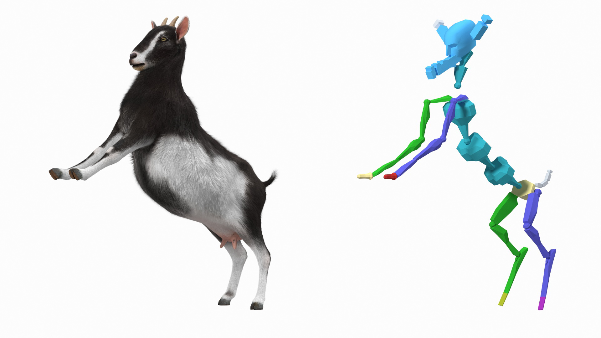 Domestic Goat Rigged Fur 3D model