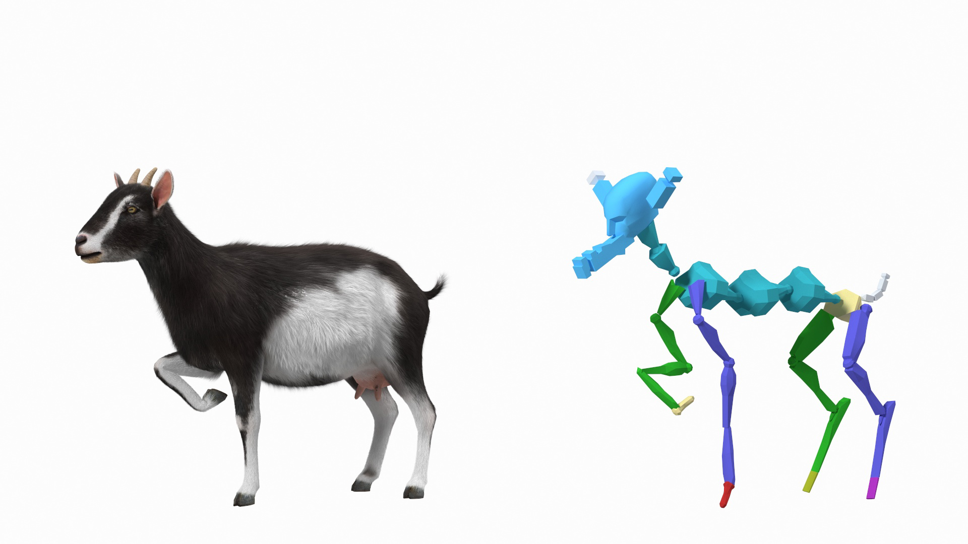 Domestic Goat Rigged Fur 3D model