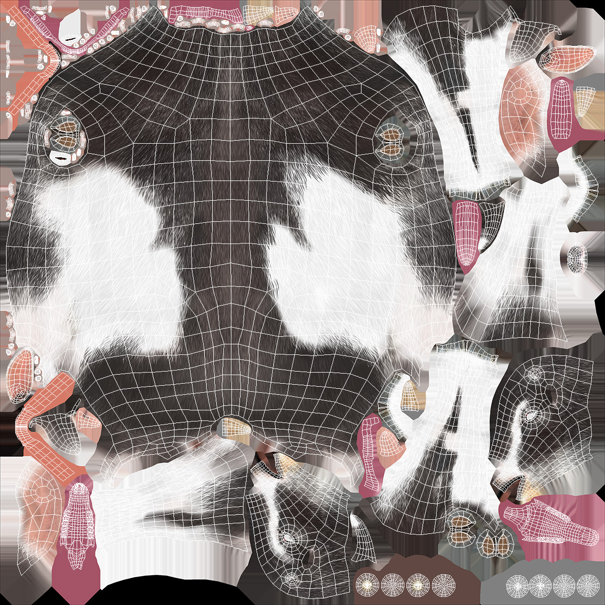 Domestic Goat Rigged Fur 3D model