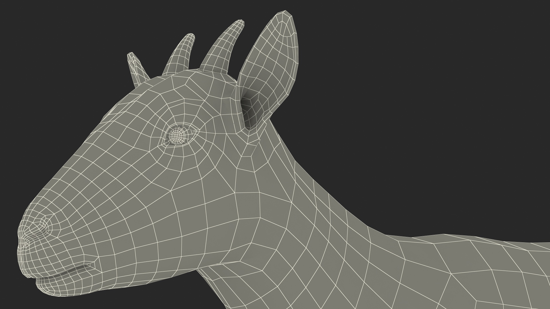 Domestic Goat Rigged Fur 3D model
