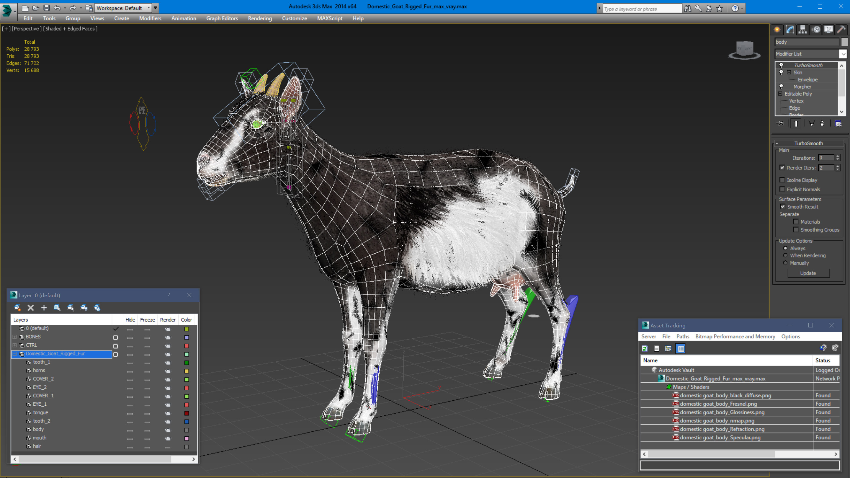 Domestic Goat Rigged Fur 3D model