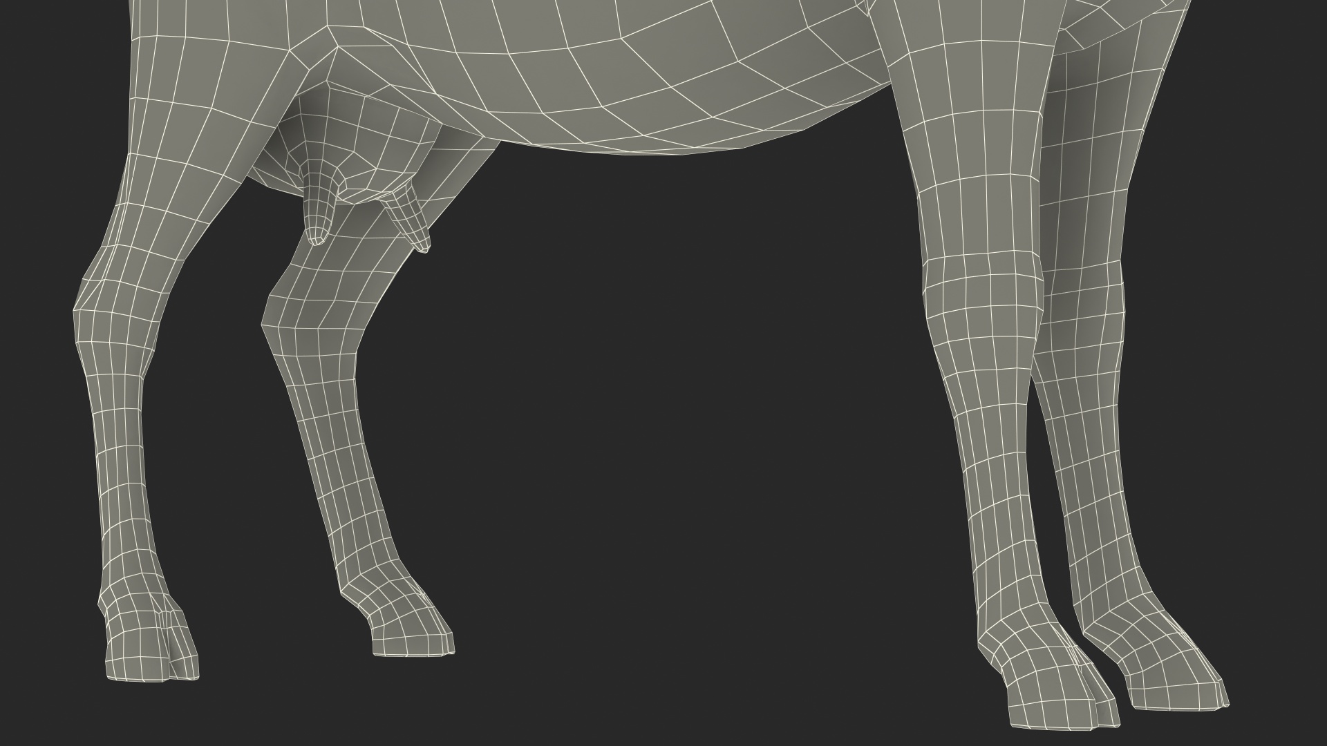 Domestic Goat Rigged Fur 3D model