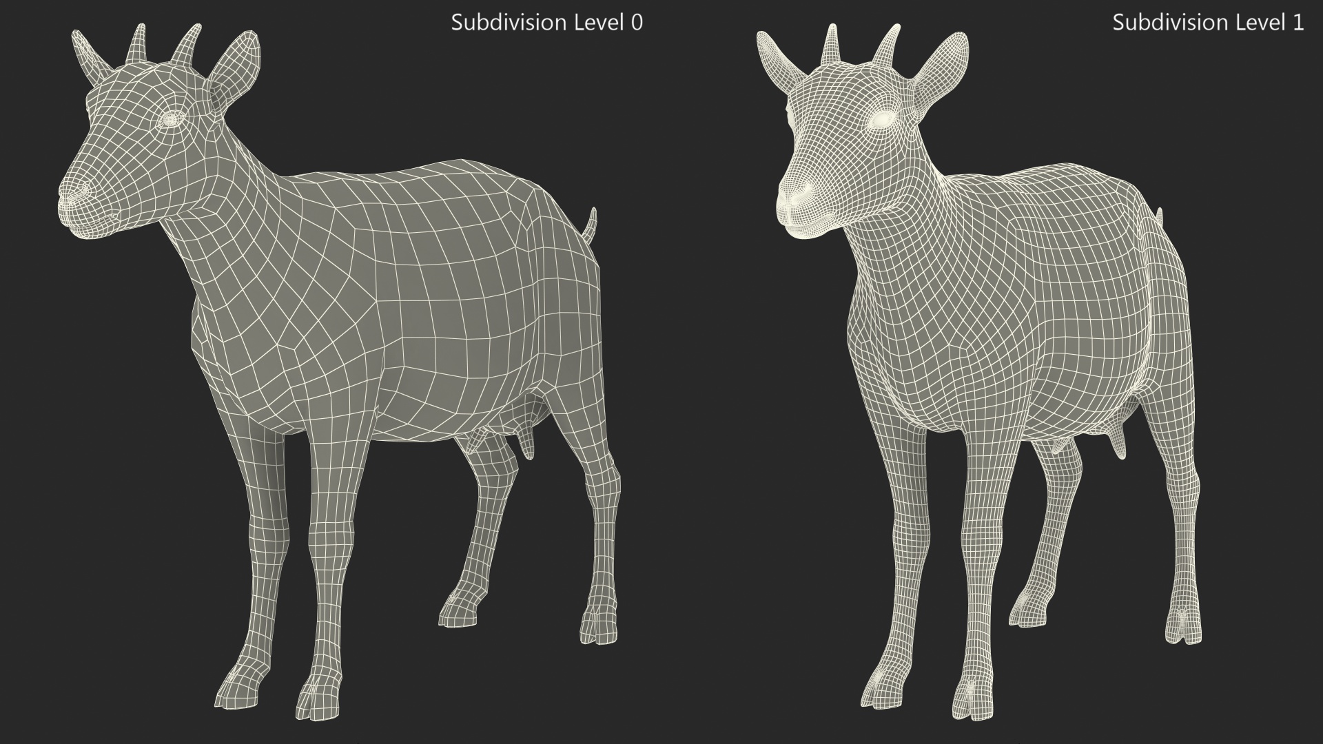 Domestic Goat Rigged Fur 3D model