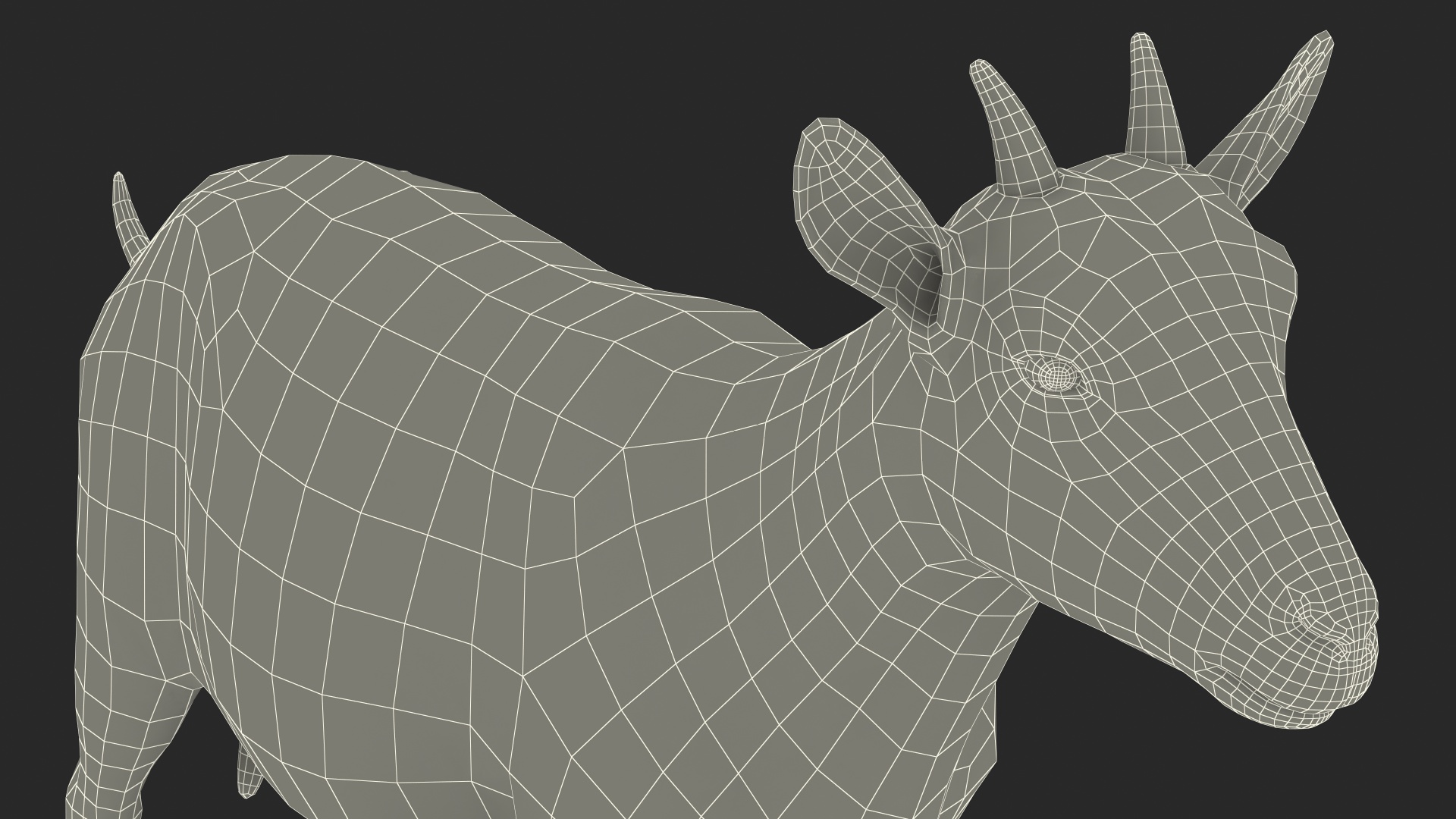 Domestic Goat Rigged Fur 3D model