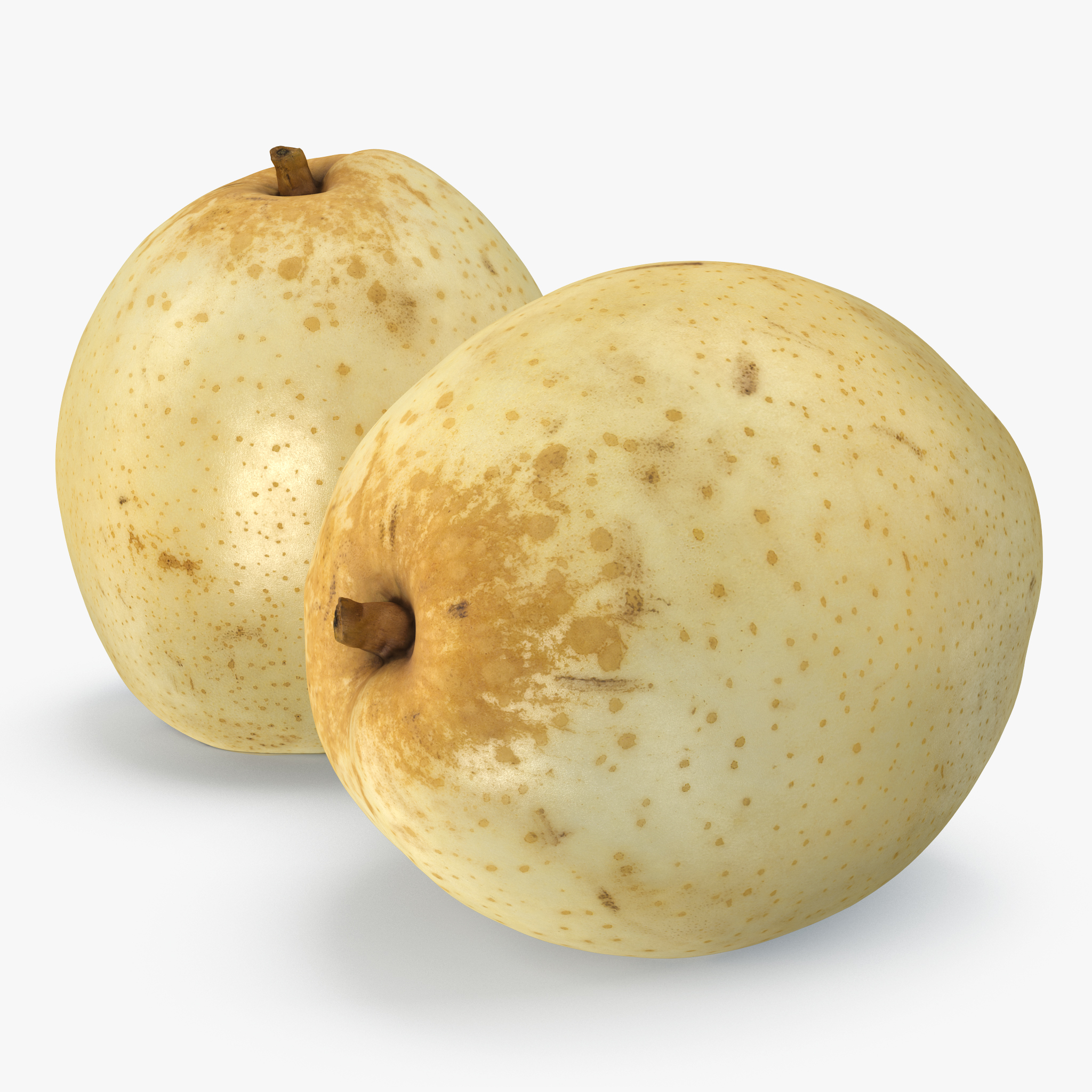 Nashi Pear