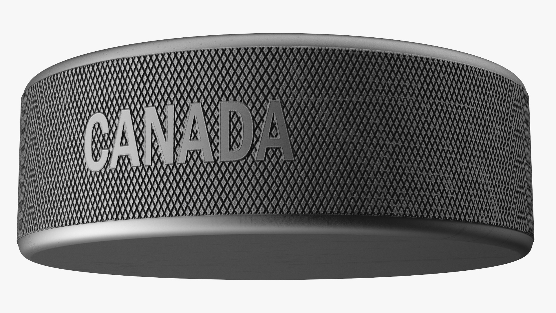 Official Ice Hockey Puck 3D model