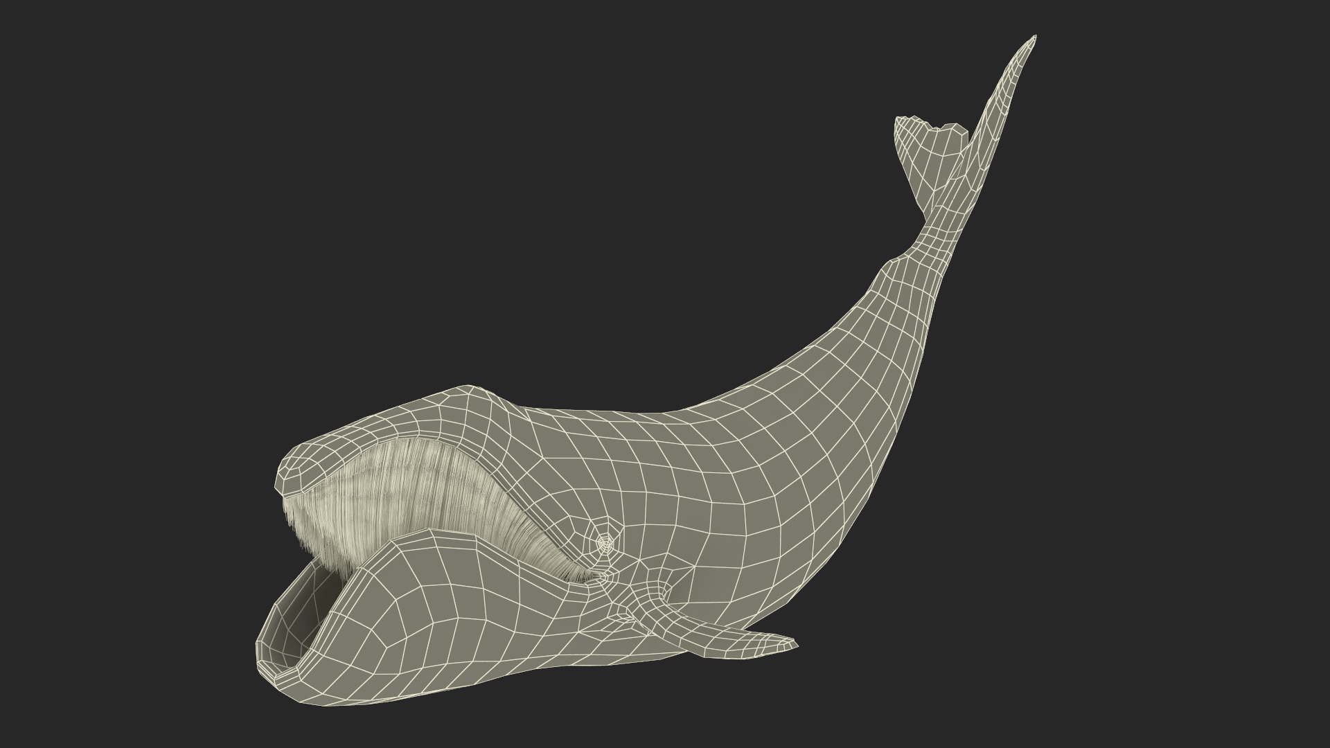 Swimming Bowhead Whale 3D
