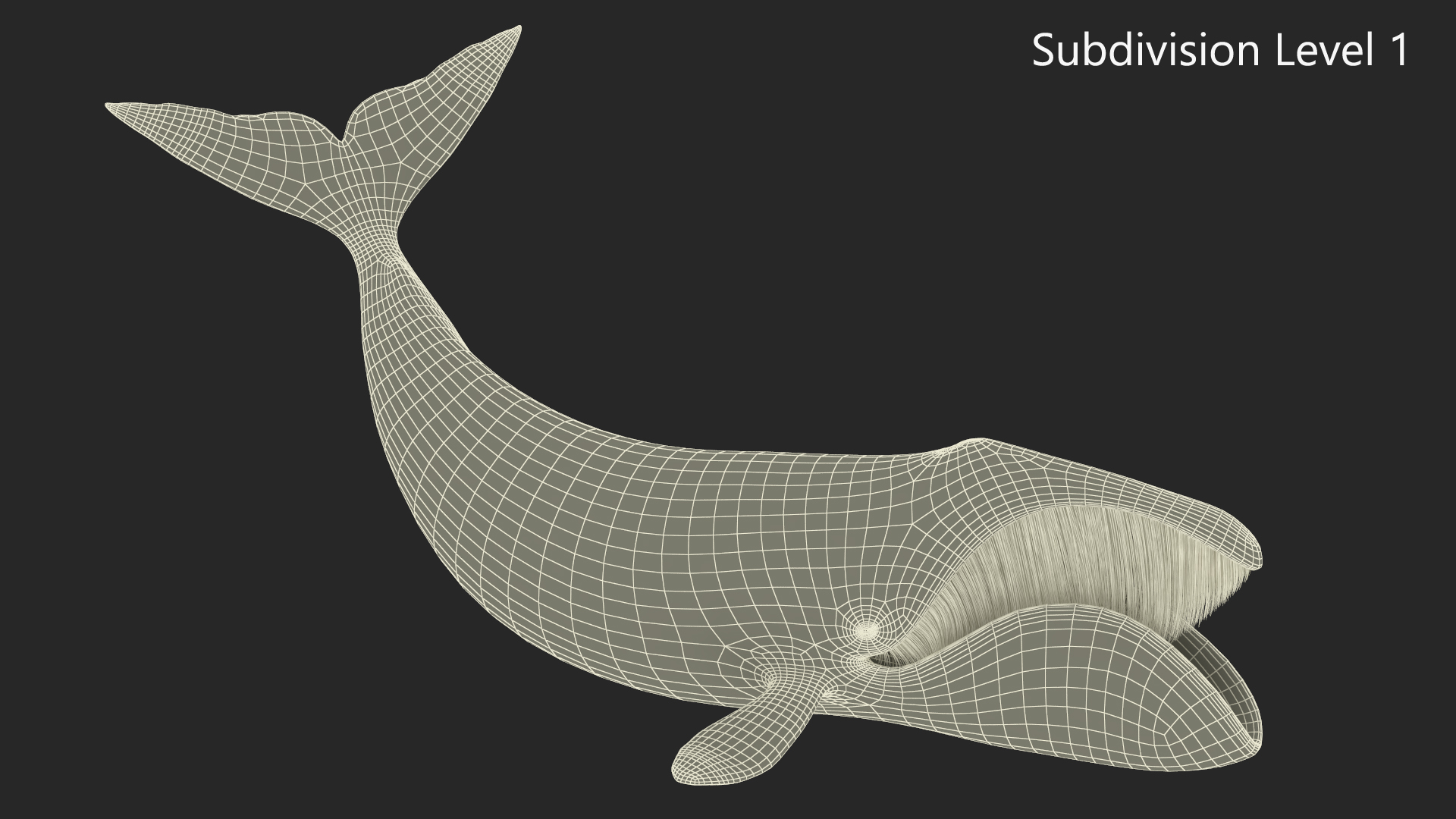 Swimming Bowhead Whale 3D