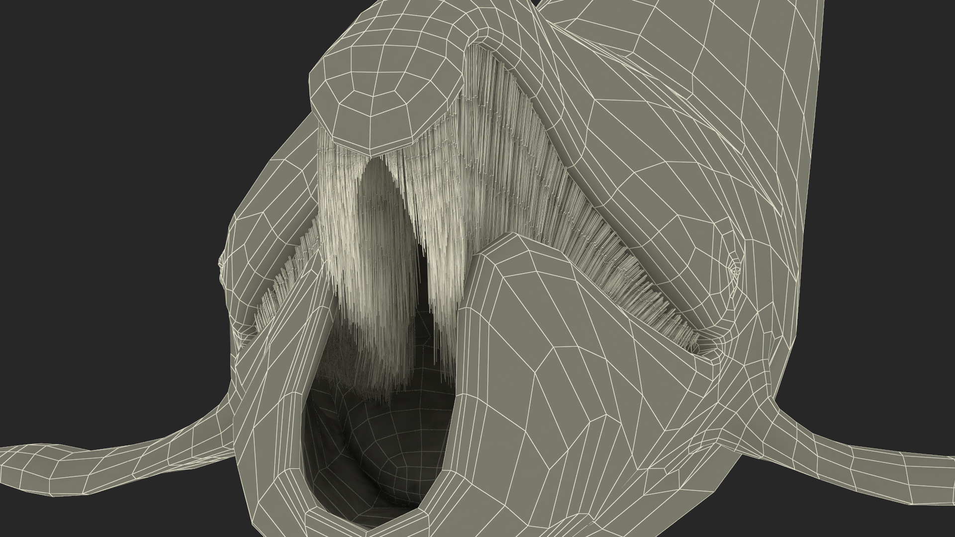 Swimming Bowhead Whale 3D