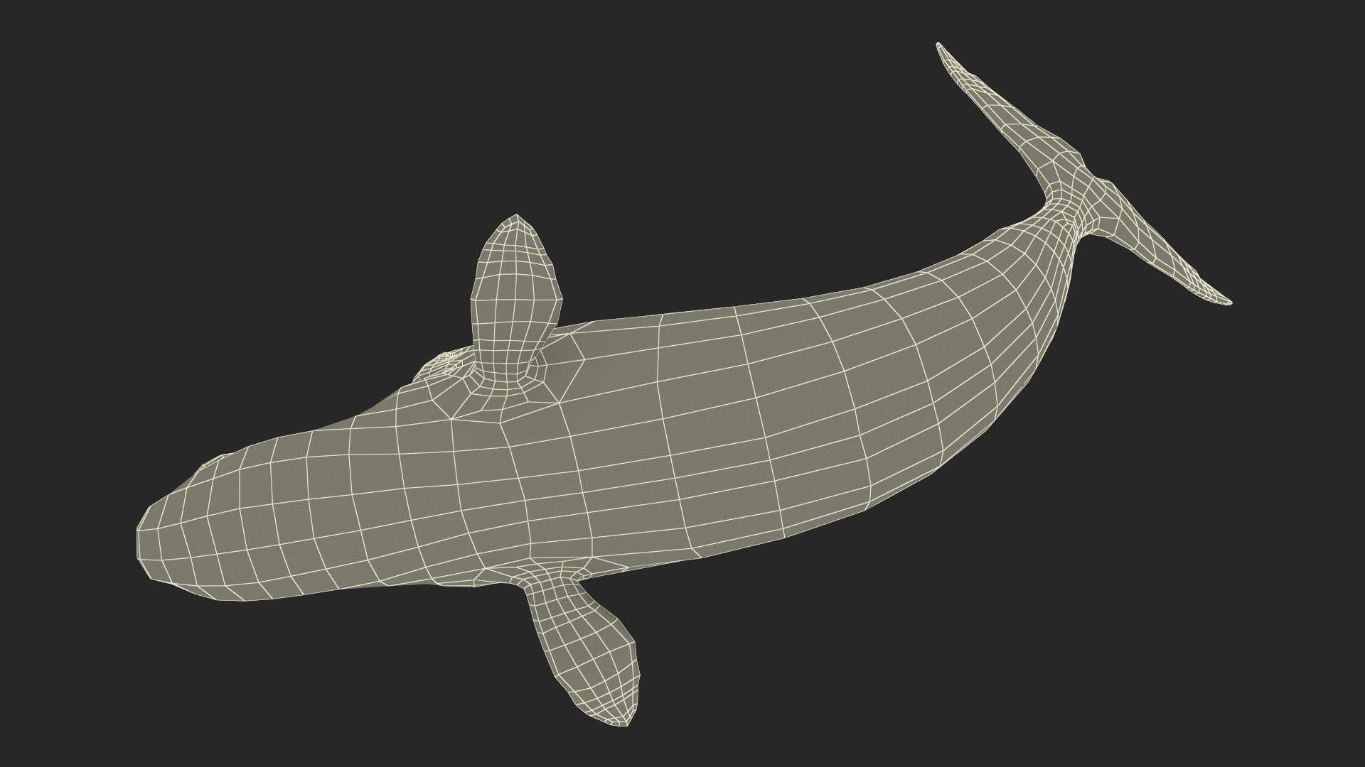 Swimming Bowhead Whale 3D