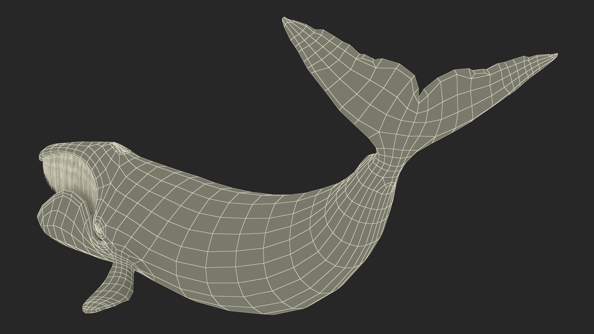 Swimming Bowhead Whale 3D