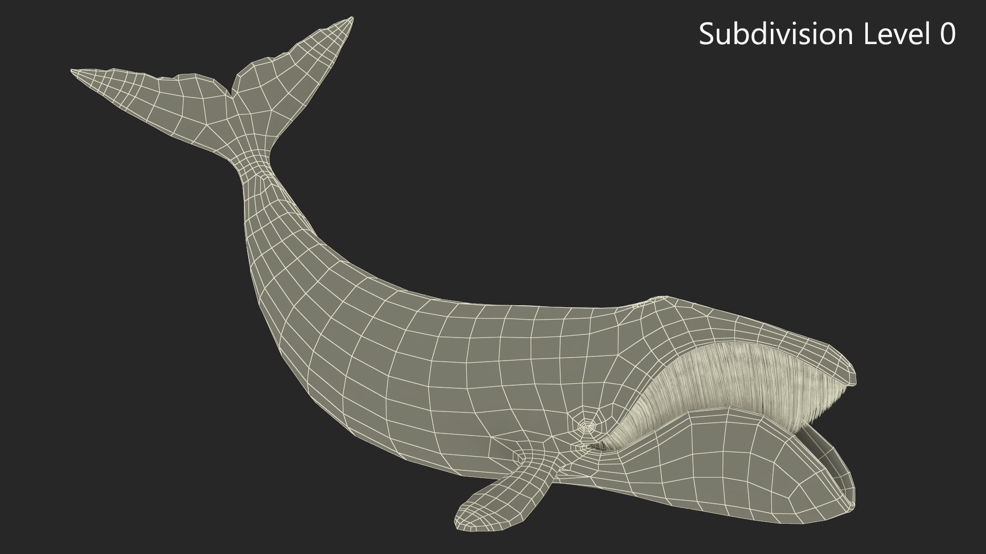 Swimming Bowhead Whale 3D