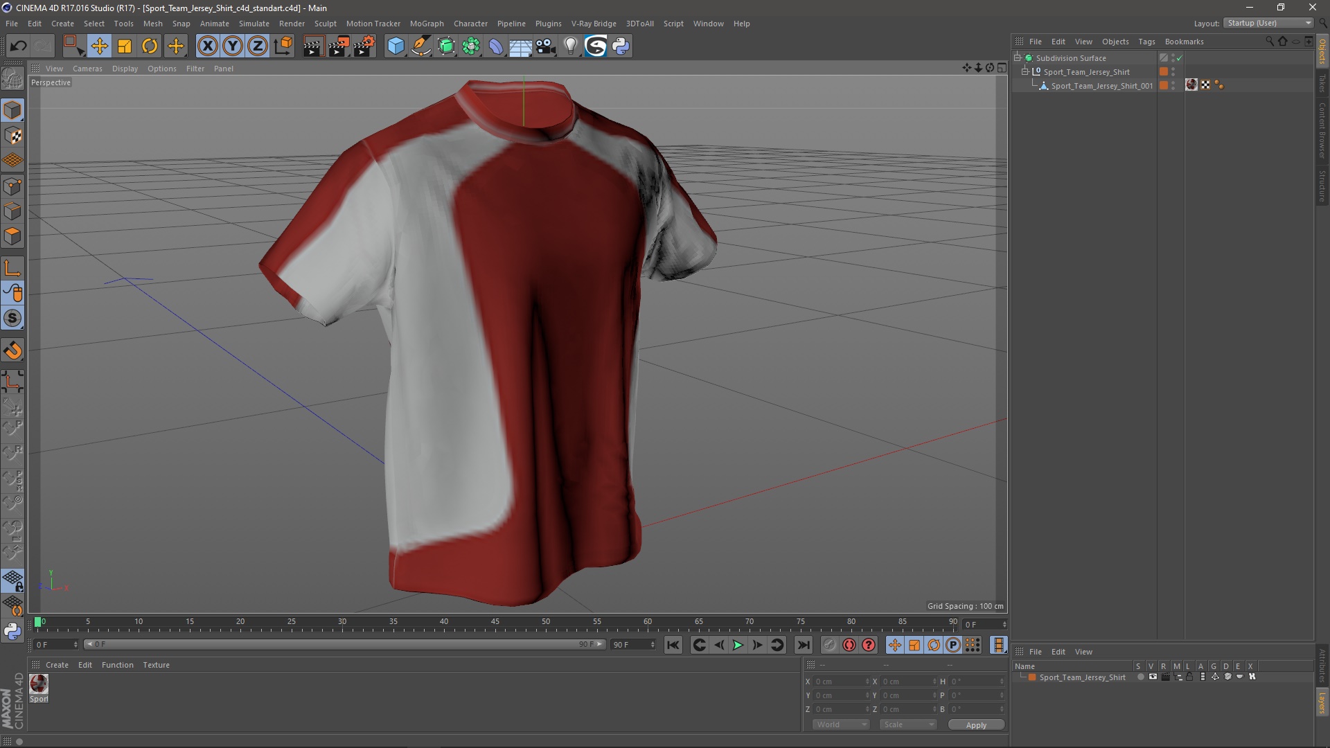 3D Sport Team Jersey Shirt model