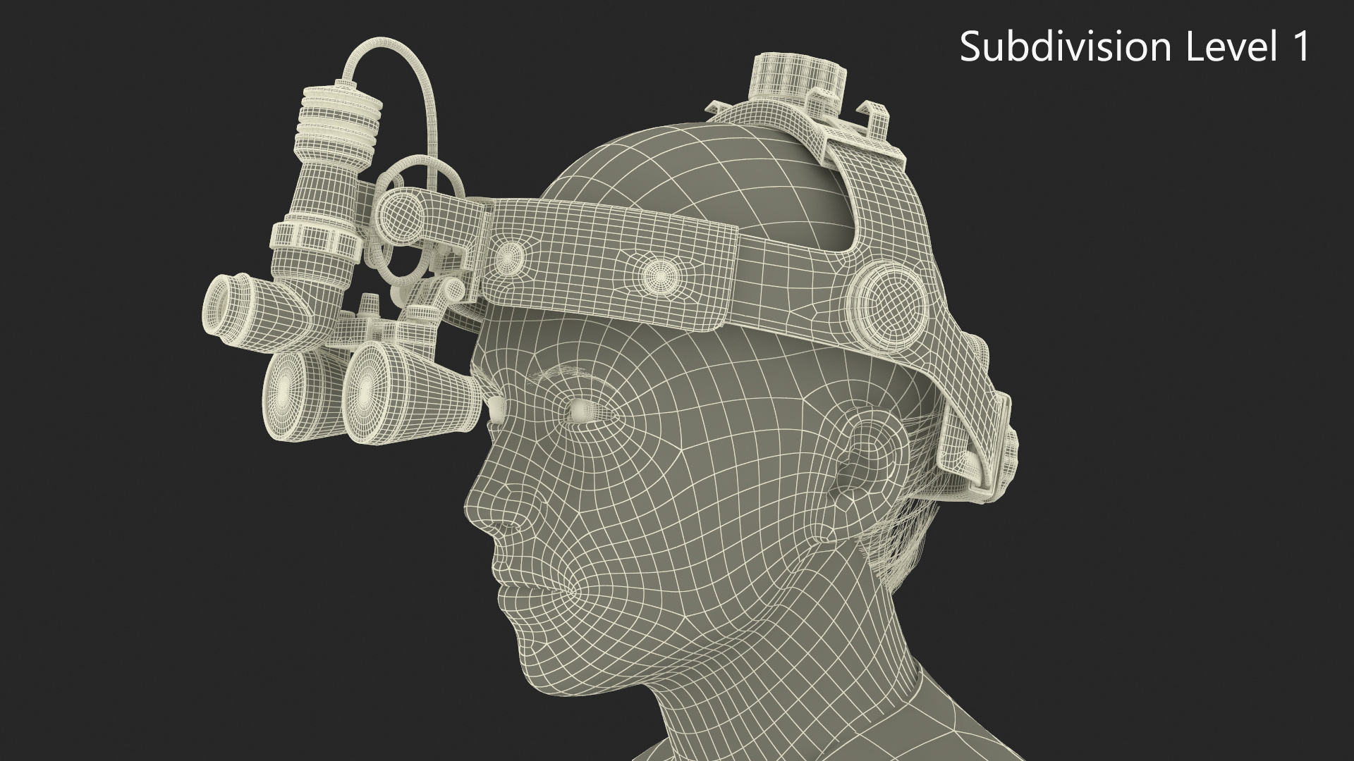 3D Female Dental Doctor with Loupe Light Rigged Fur model