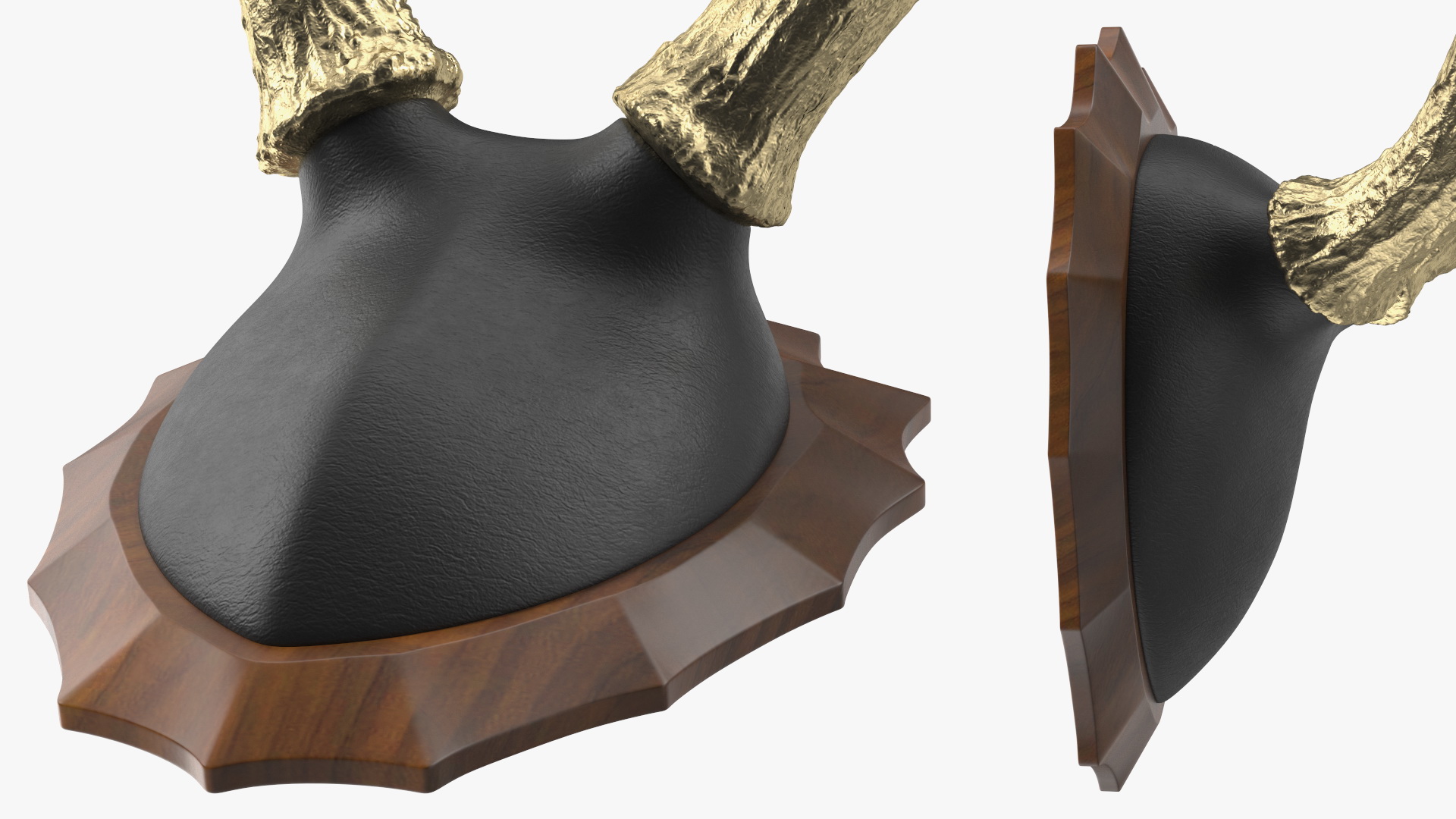 3D model Gold Plated Stag Antlers on a Wall Mount