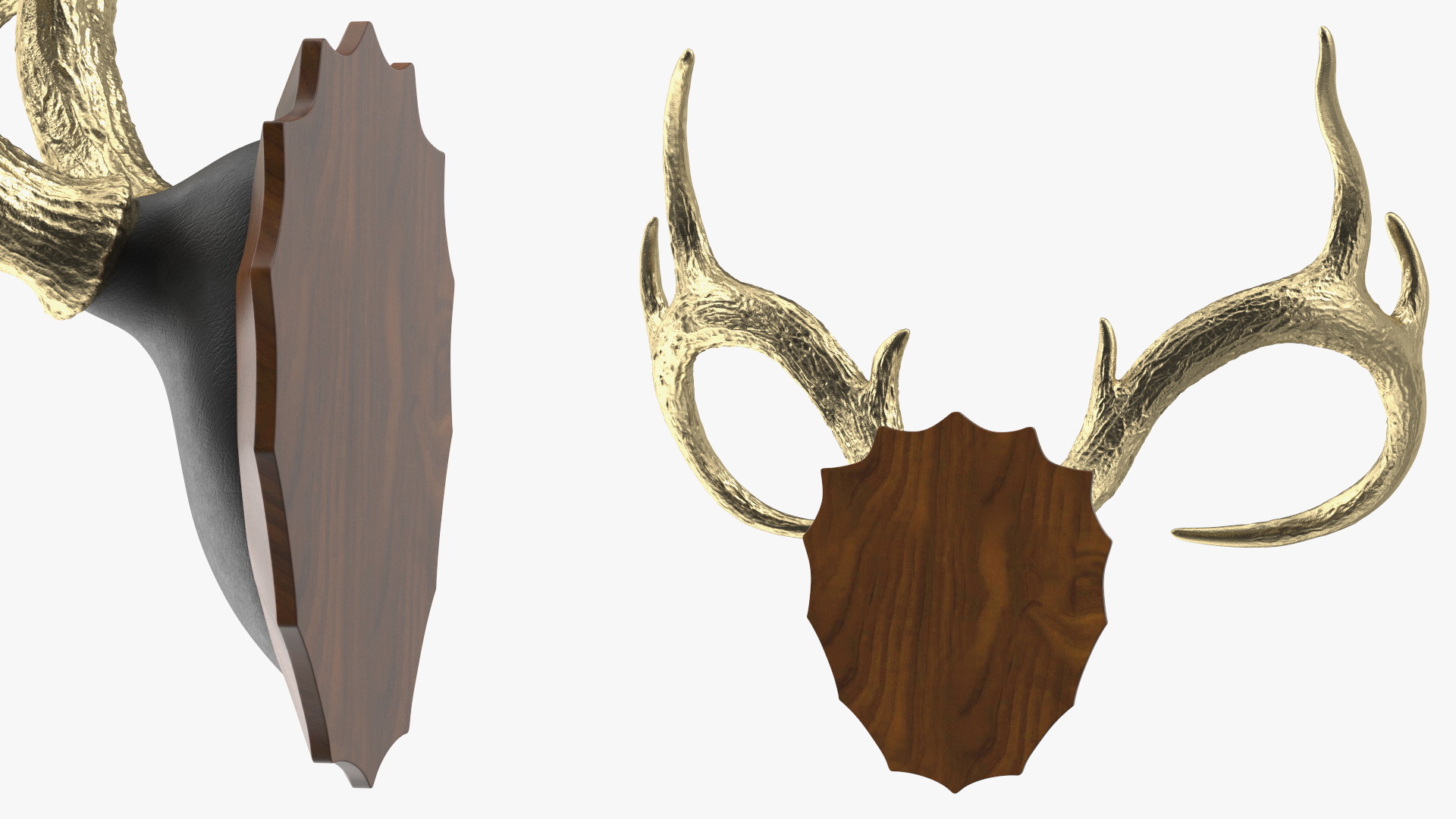 3D model Gold Plated Stag Antlers on a Wall Mount