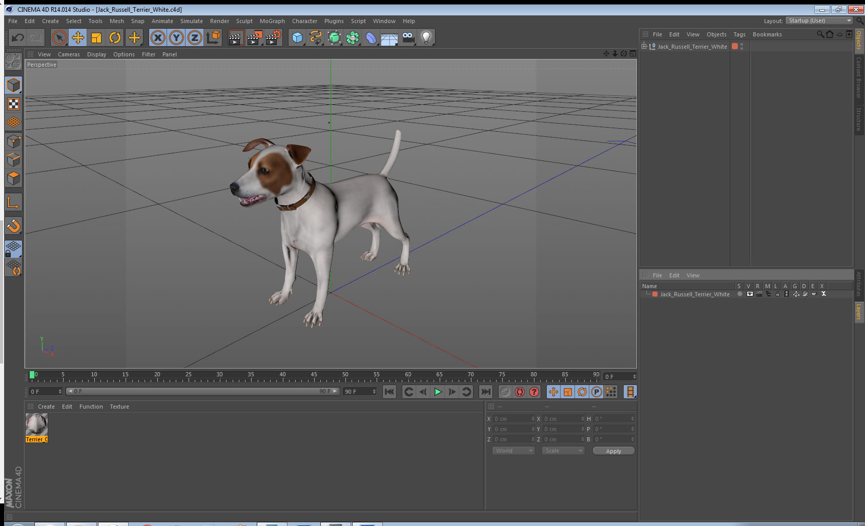 3D Jack Russell Terrier White