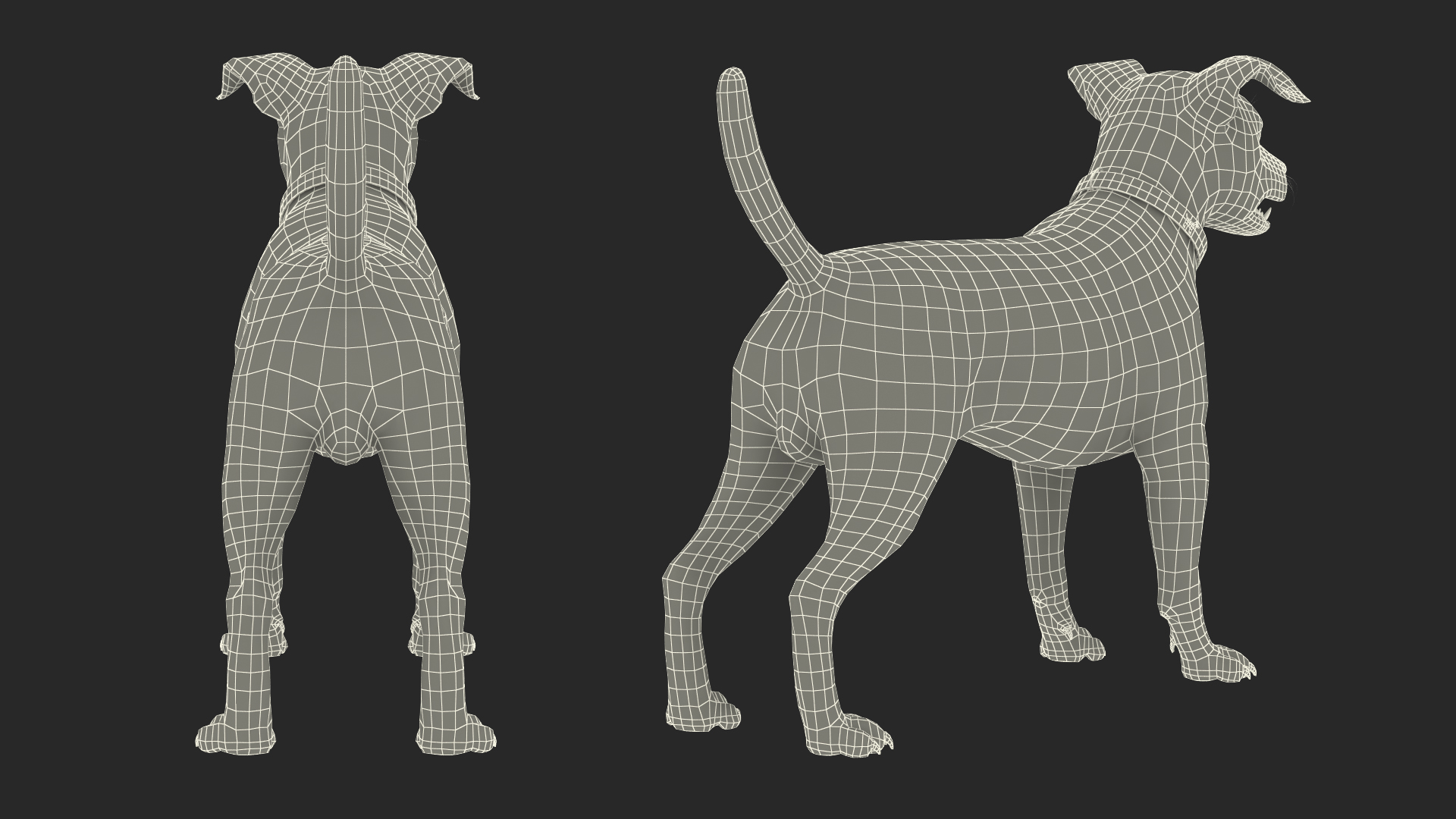 3D Jack Russell Terrier White