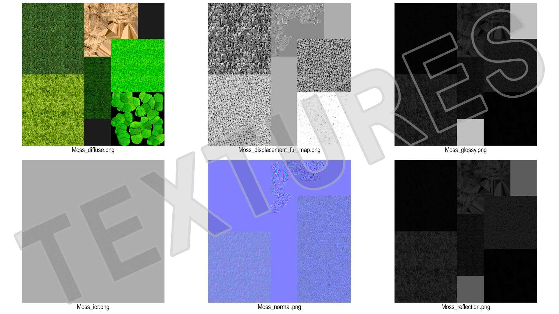 3D model Decorative Moss Wall