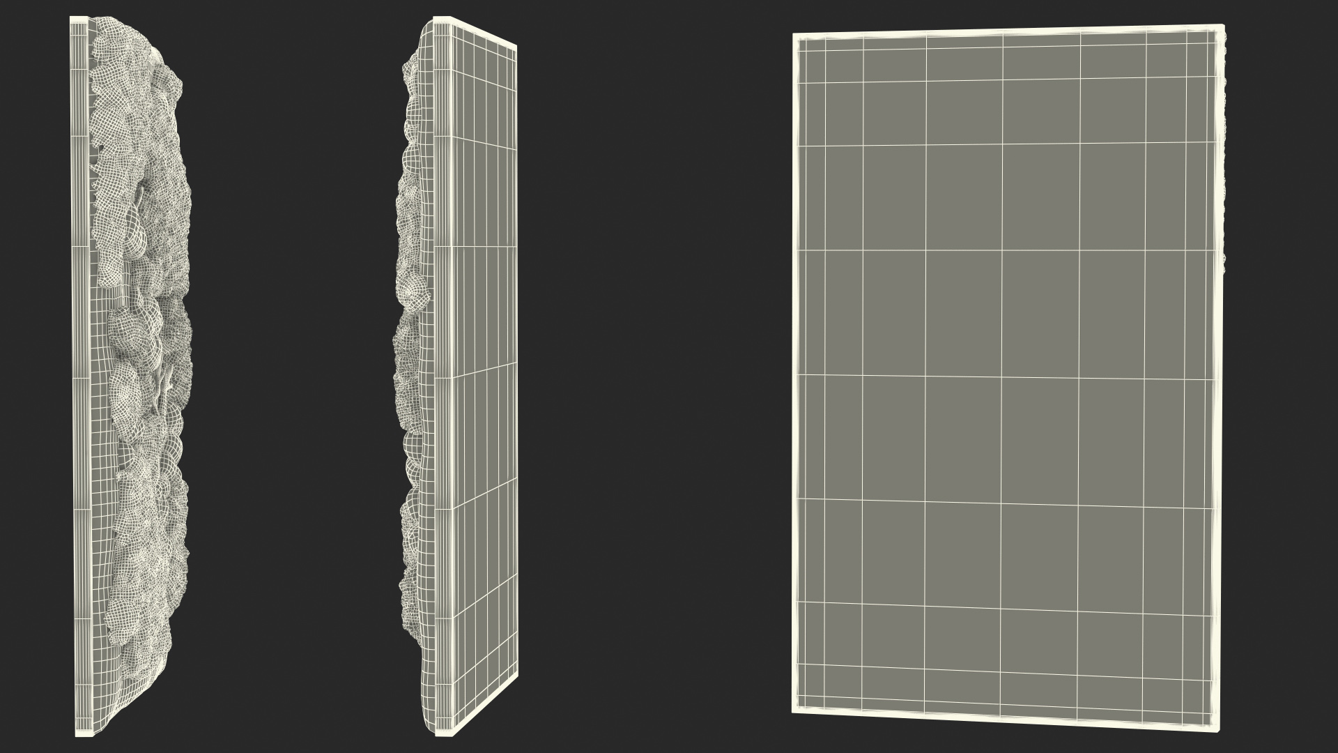 3D model Decorative Moss Wall