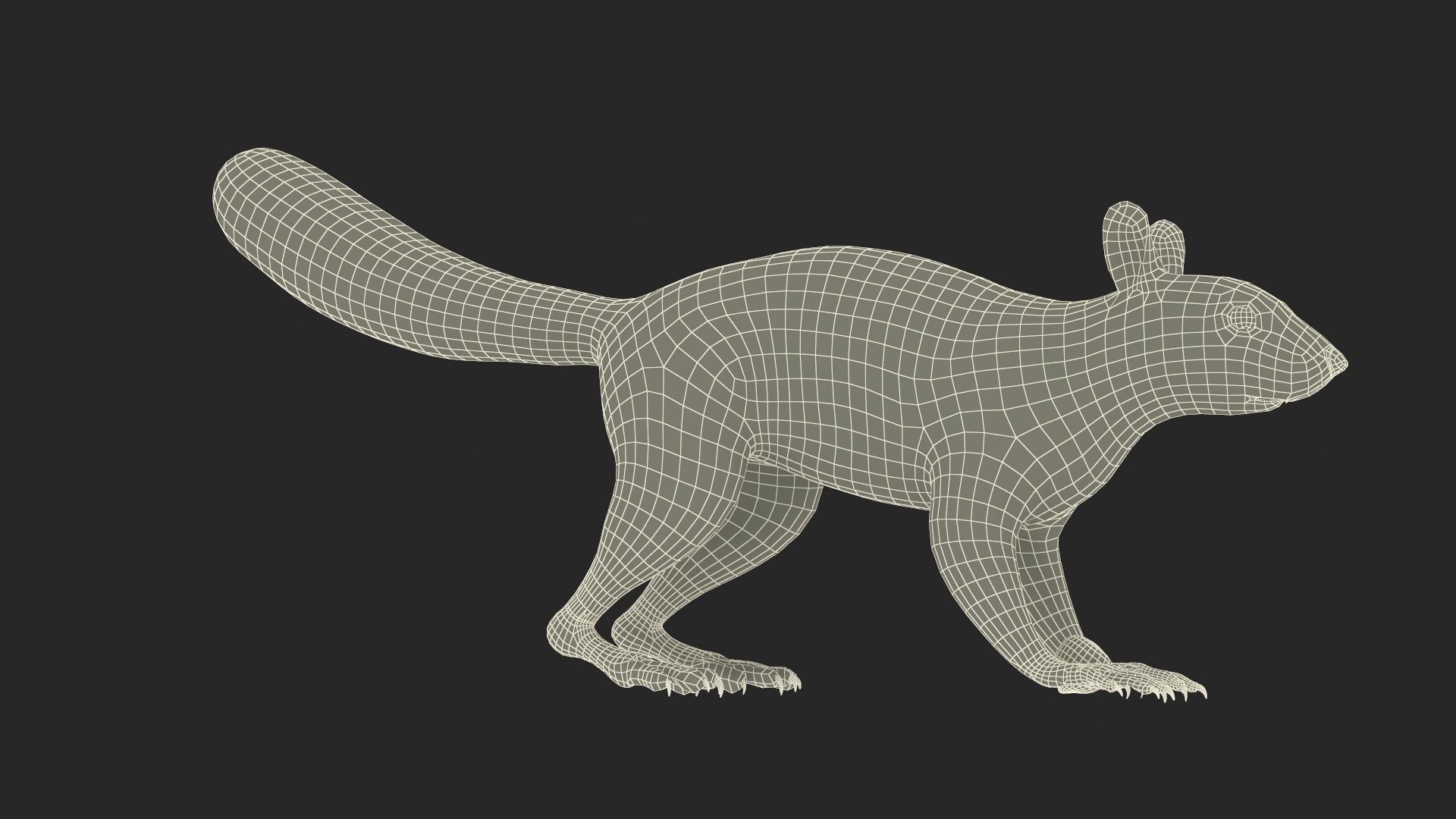 Gray Squirrel Hazelnut Fur Animated Rigged 3D