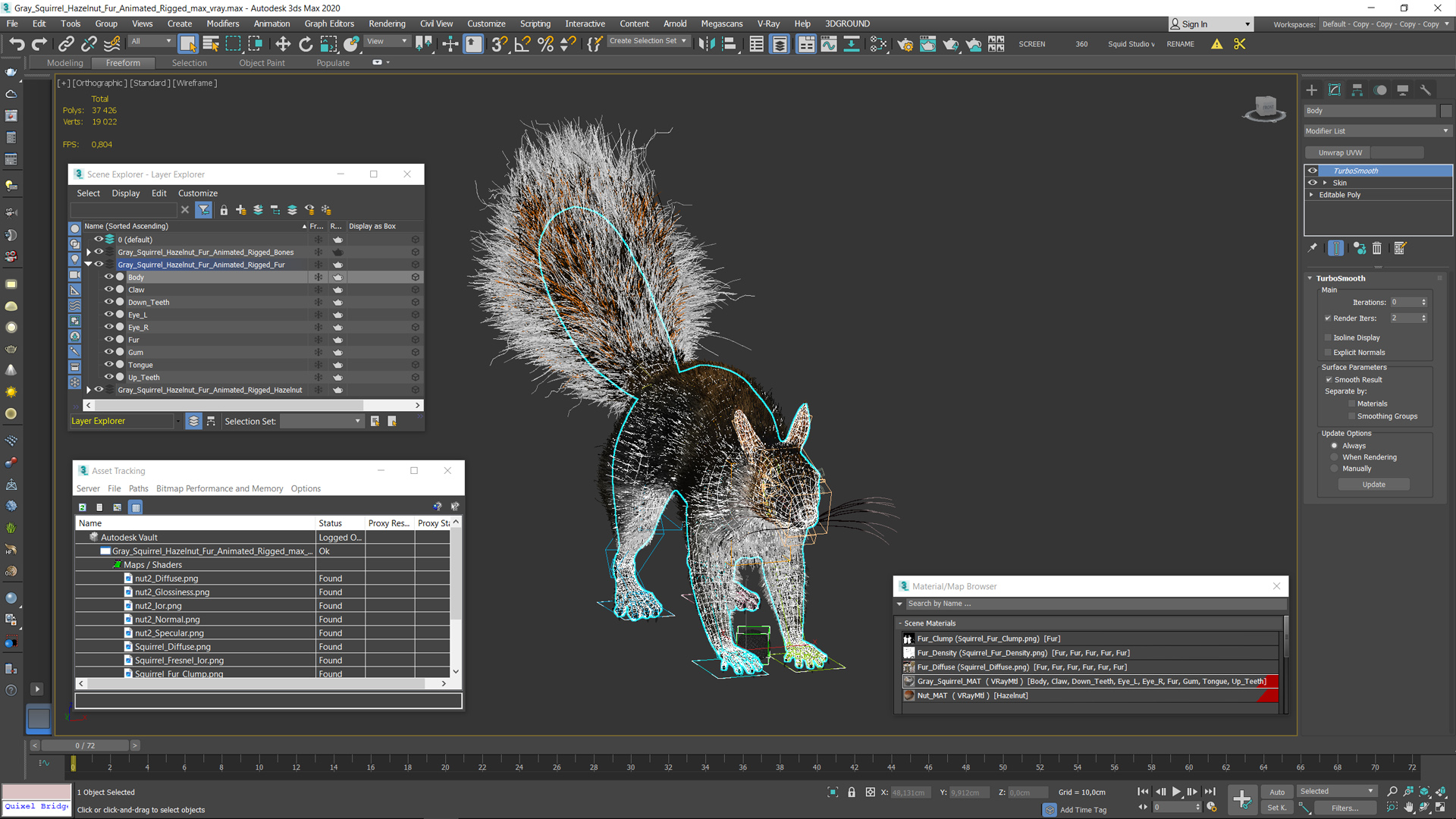 Gray Squirrel Hazelnut Fur Animated Rigged 3D