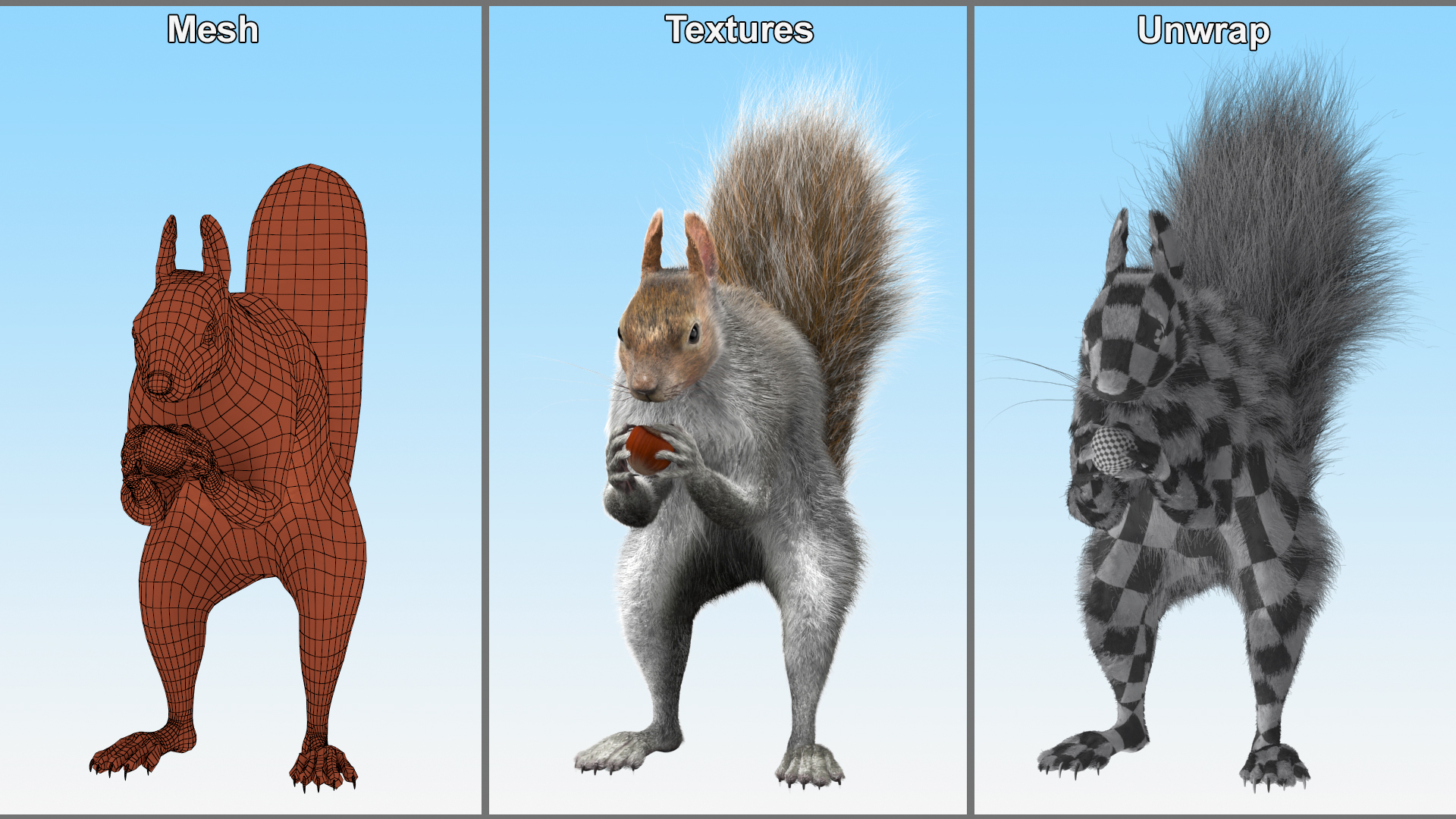 Gray Squirrel Hazelnut Fur Animated Rigged 3D