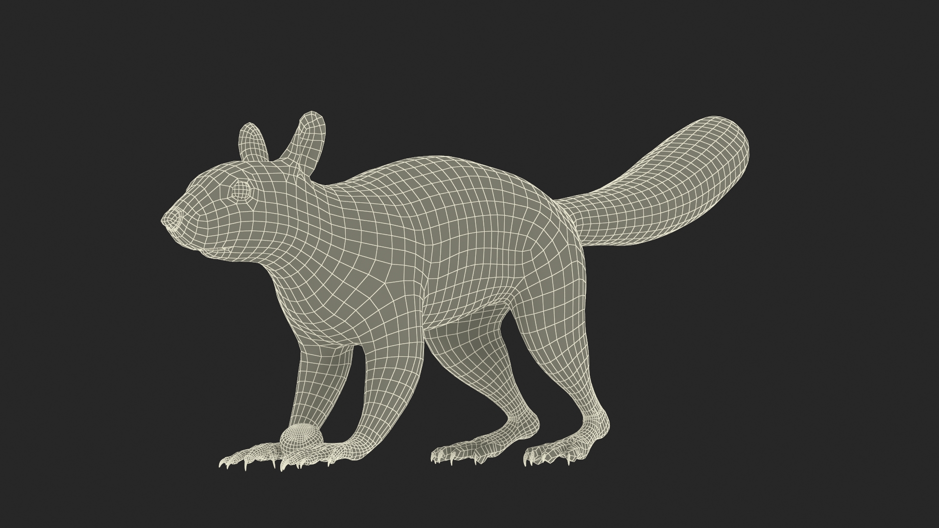 Gray Squirrel Hazelnut Fur Animated Rigged 3D