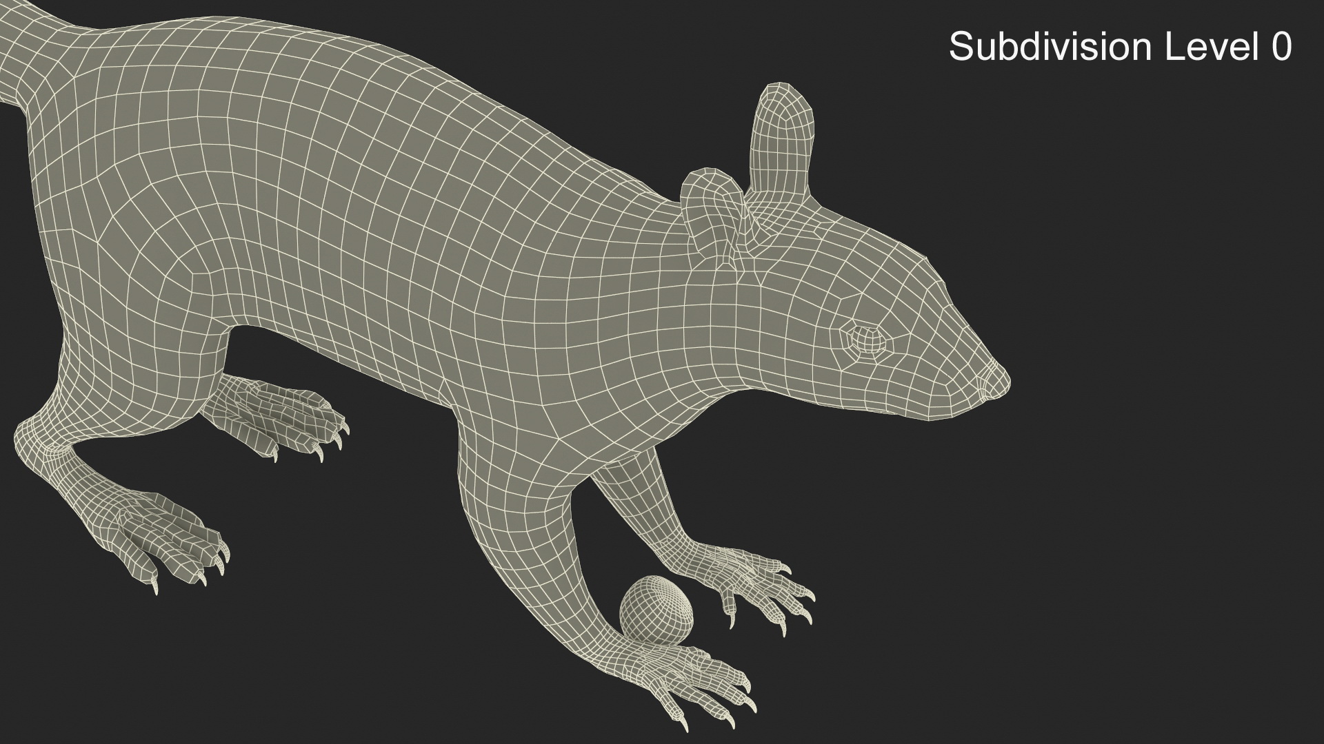 Gray Squirrel Hazelnut Fur Animated Rigged 3D