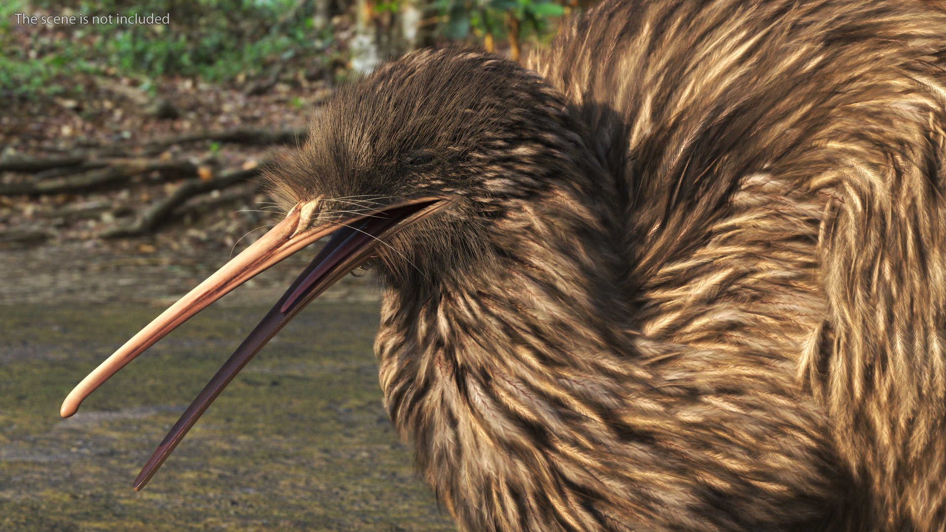 3D model Kiwi Bird Fur Rigged