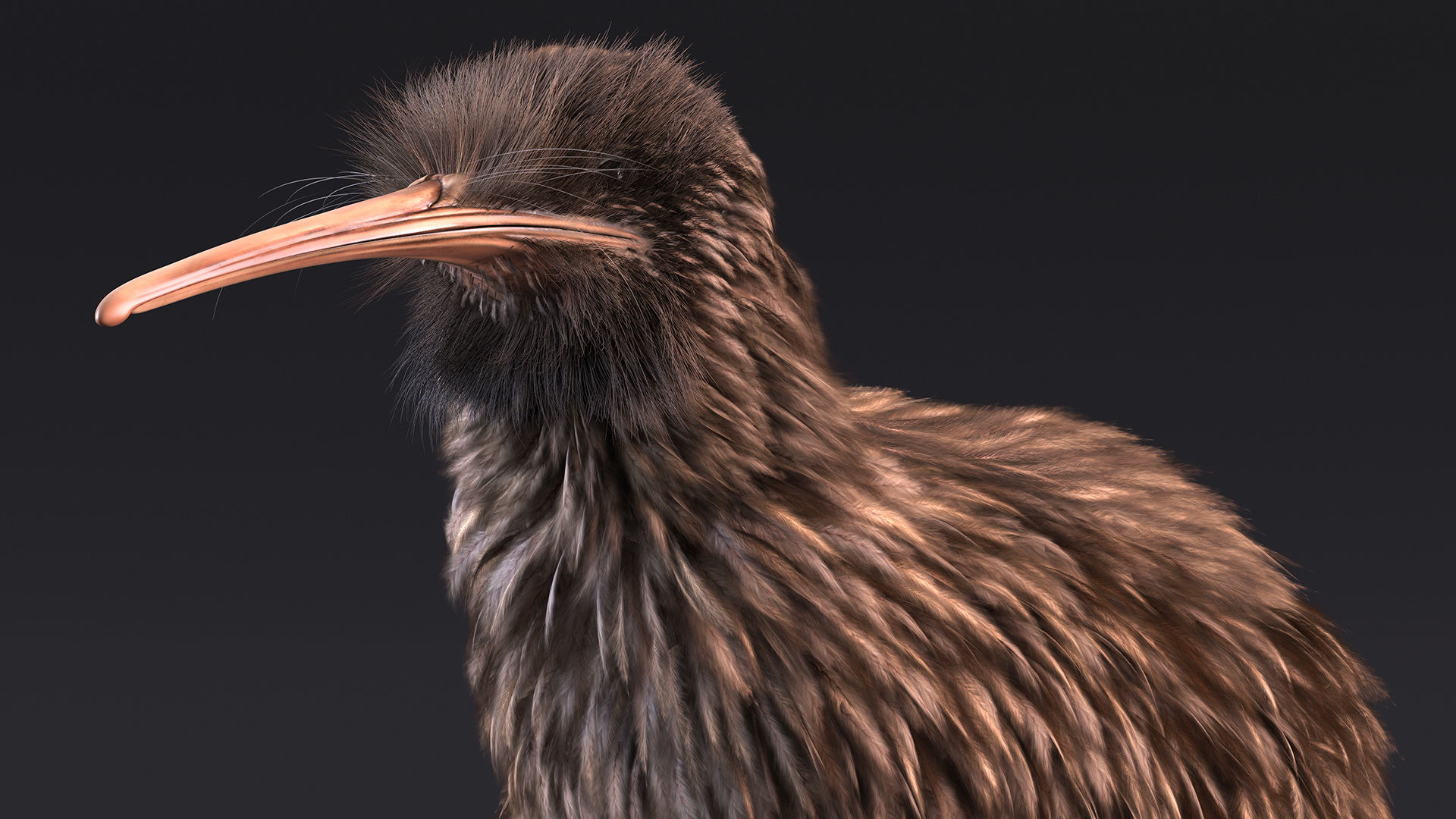 3D model Kiwi Bird Fur Rigged