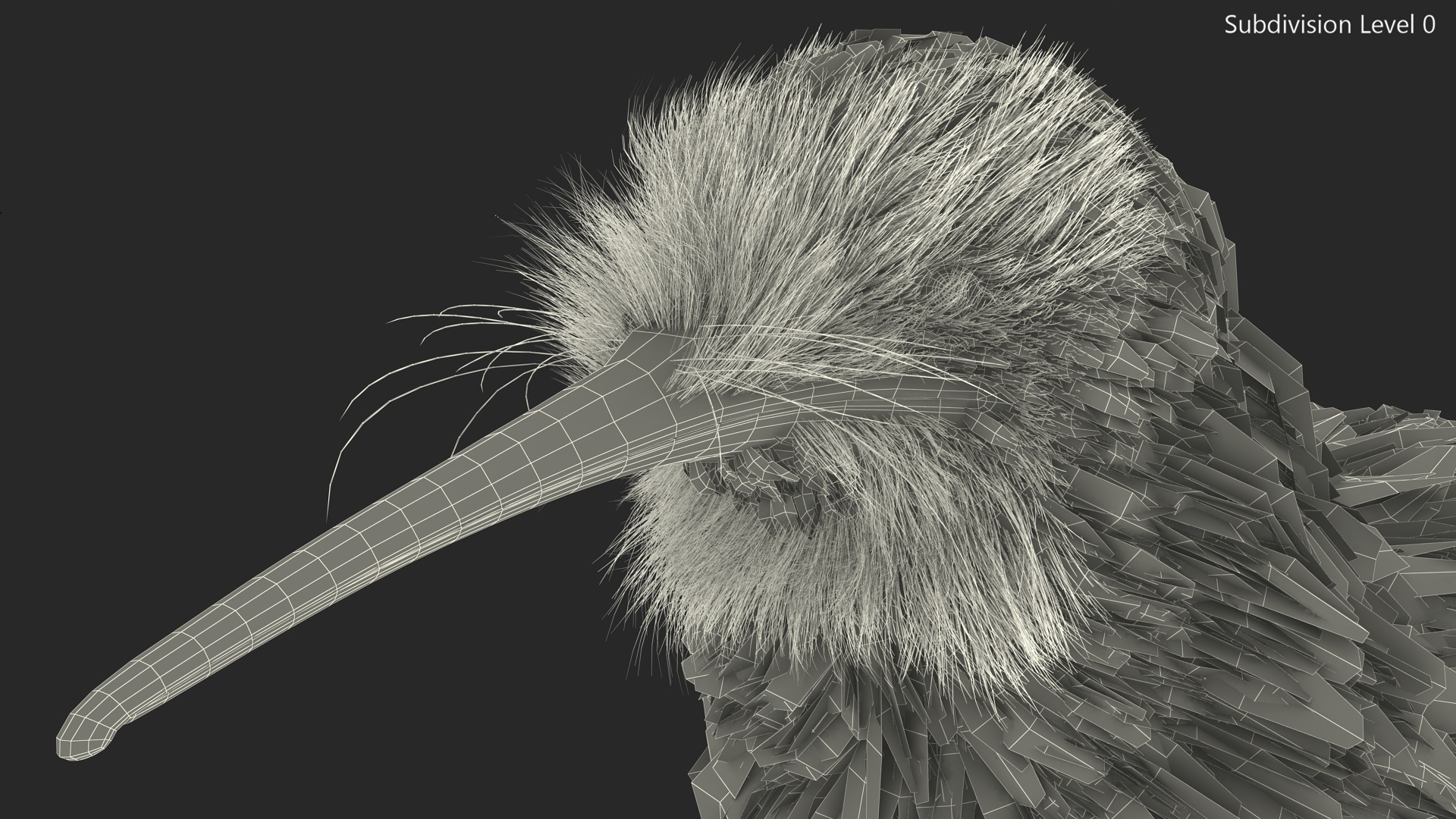 3D model Kiwi Bird Fur Rigged
