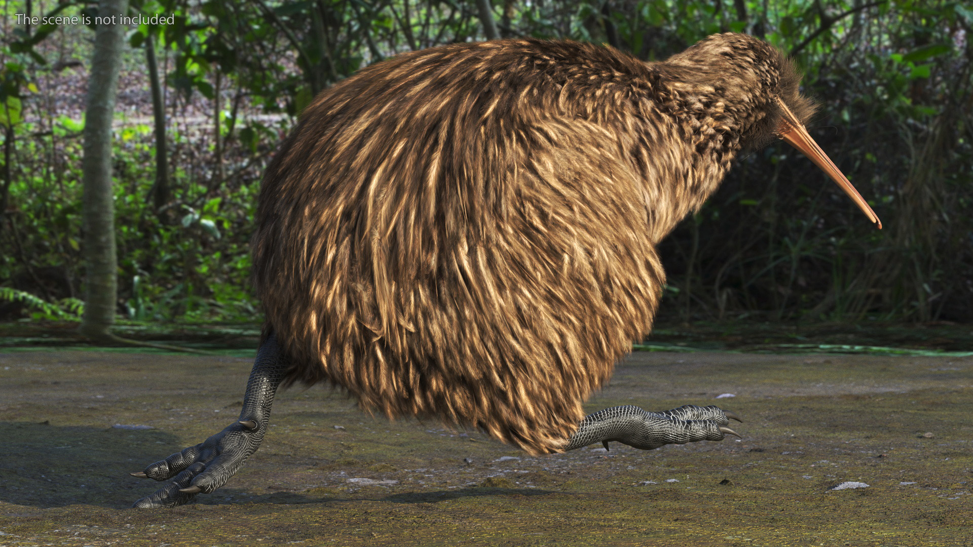 3D model Kiwi Bird Fur Rigged