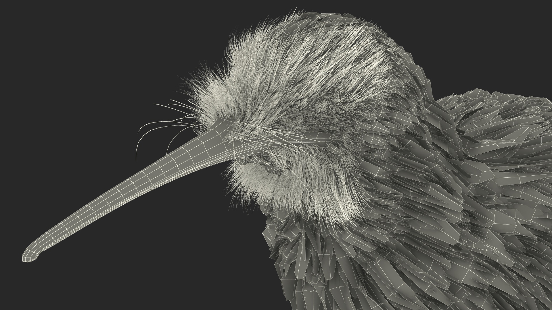 3D model Kiwi Bird Fur Rigged
