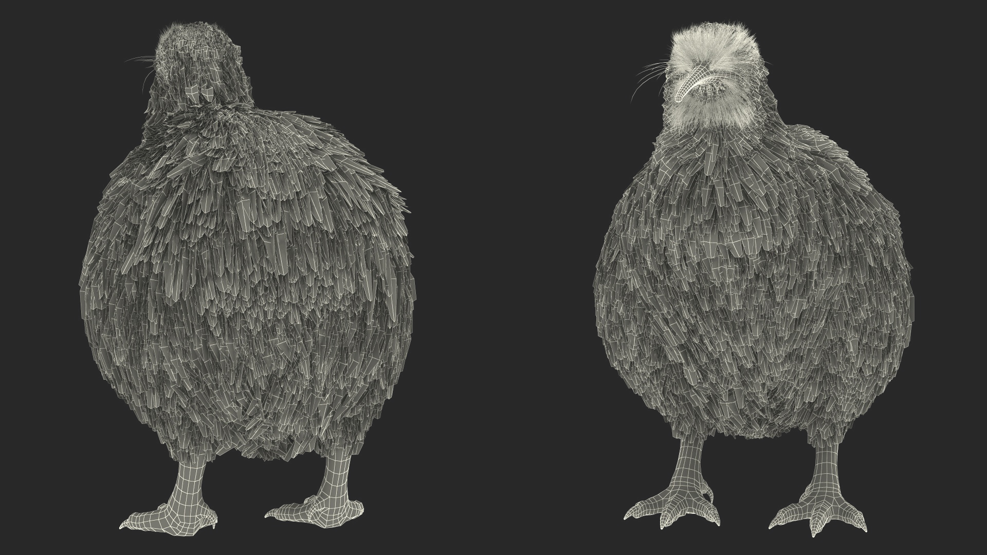 3D model Kiwi Bird Fur Rigged