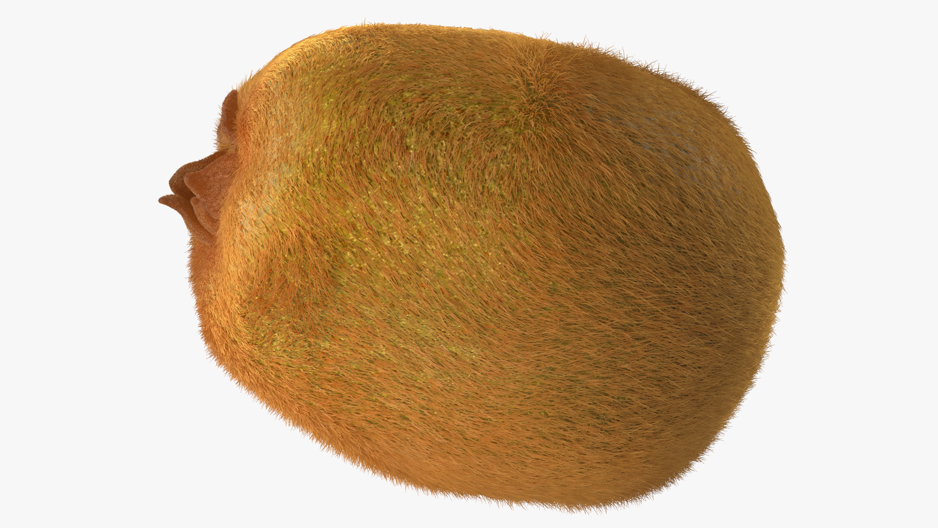 Kiwi Fruit with Fur 3D model