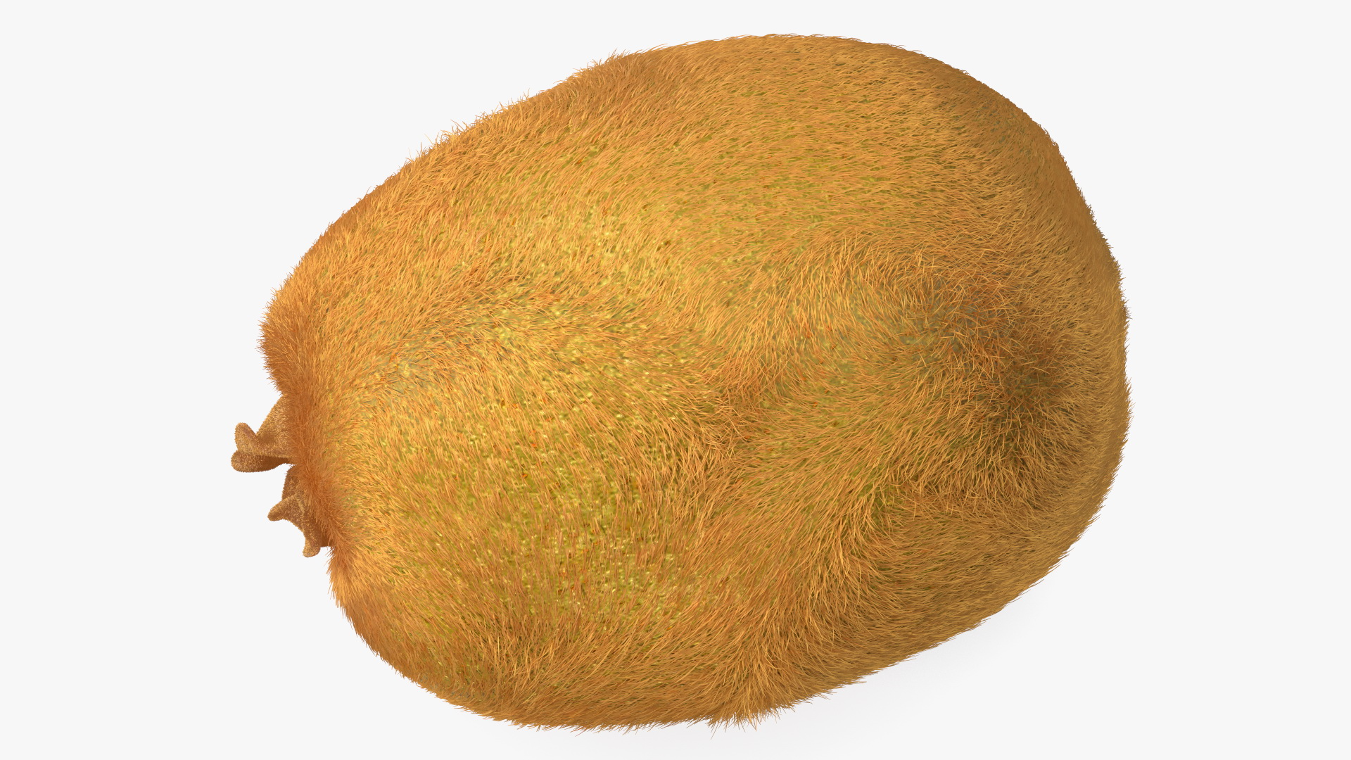Kiwi Fruit with Fur 3D model