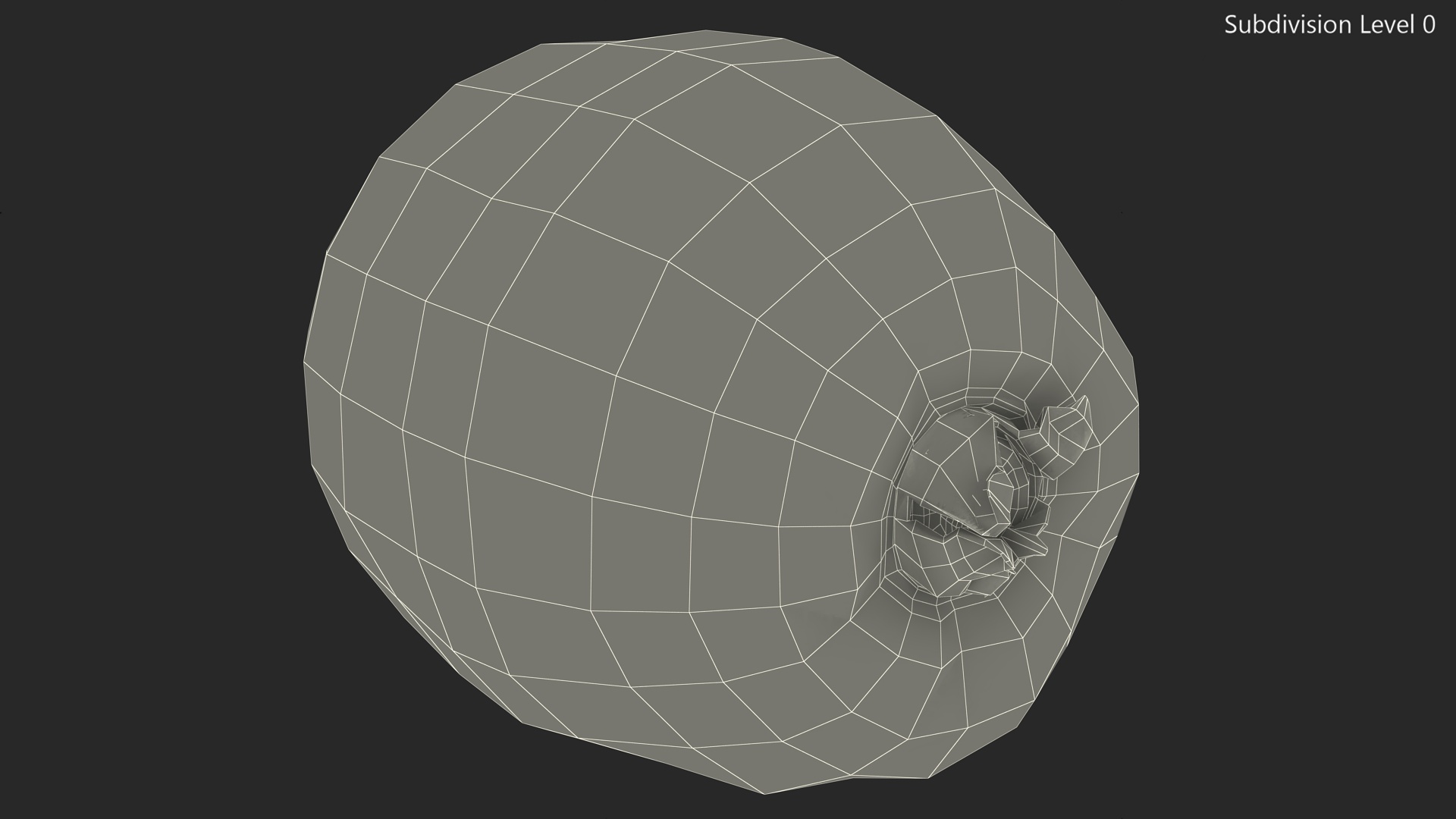 Kiwi Fruit with Fur 3D model
