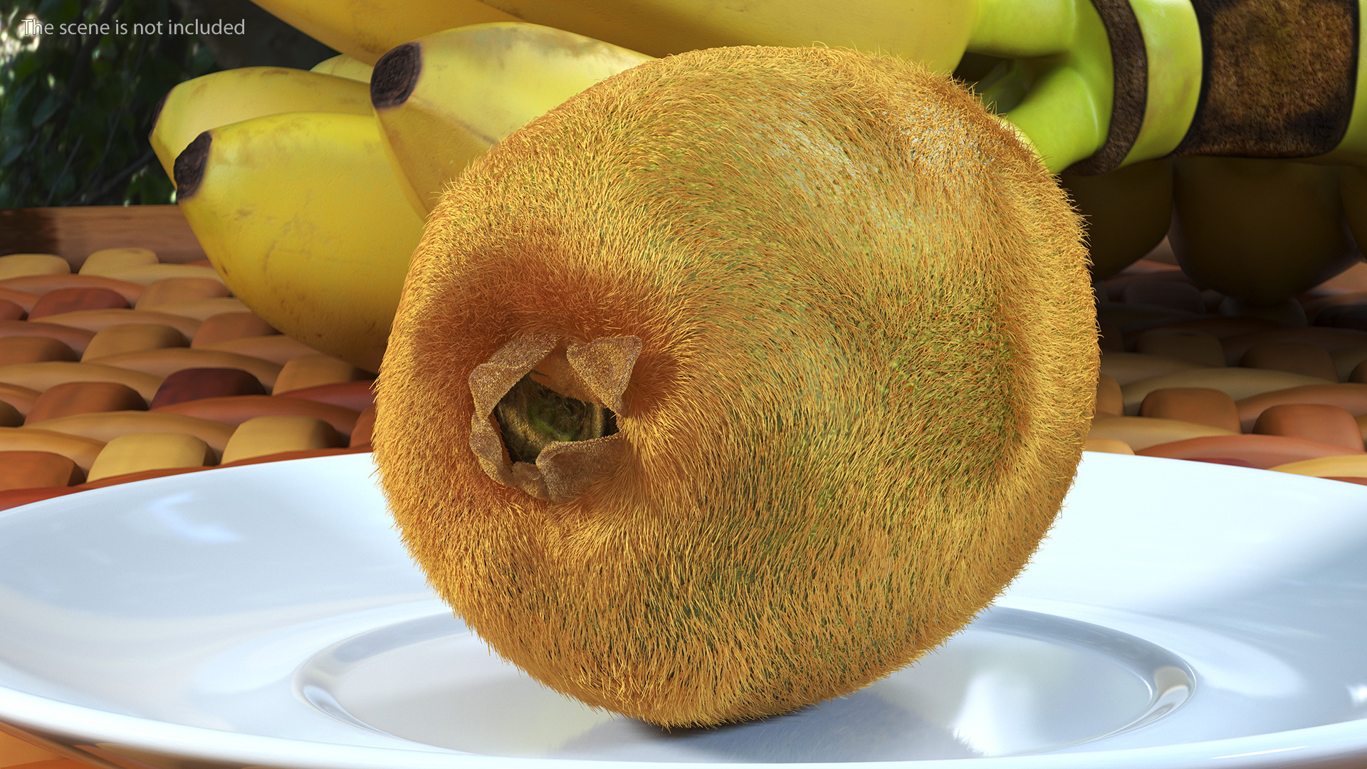 Kiwi Fruit with Fur 3D model