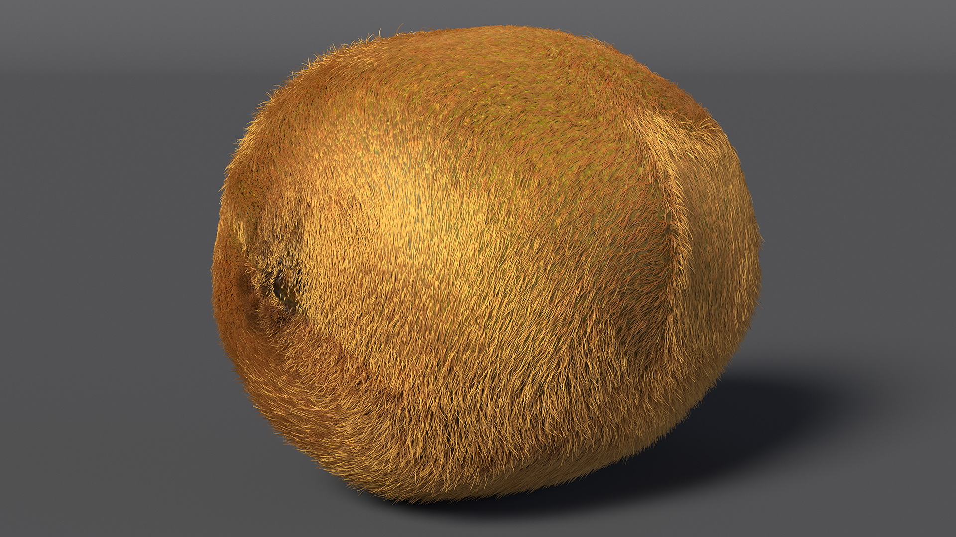 Kiwi Fruit with Fur 3D model