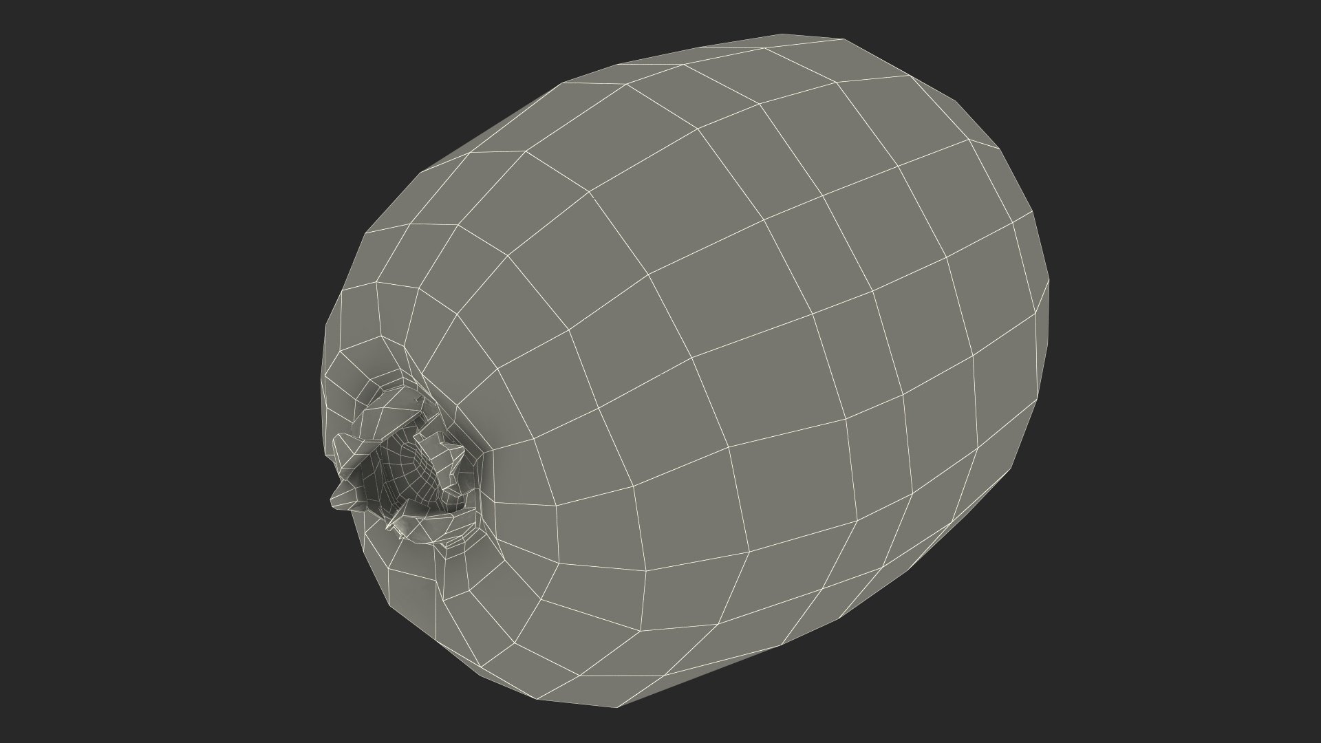 Kiwi Fruit with Fur 3D model